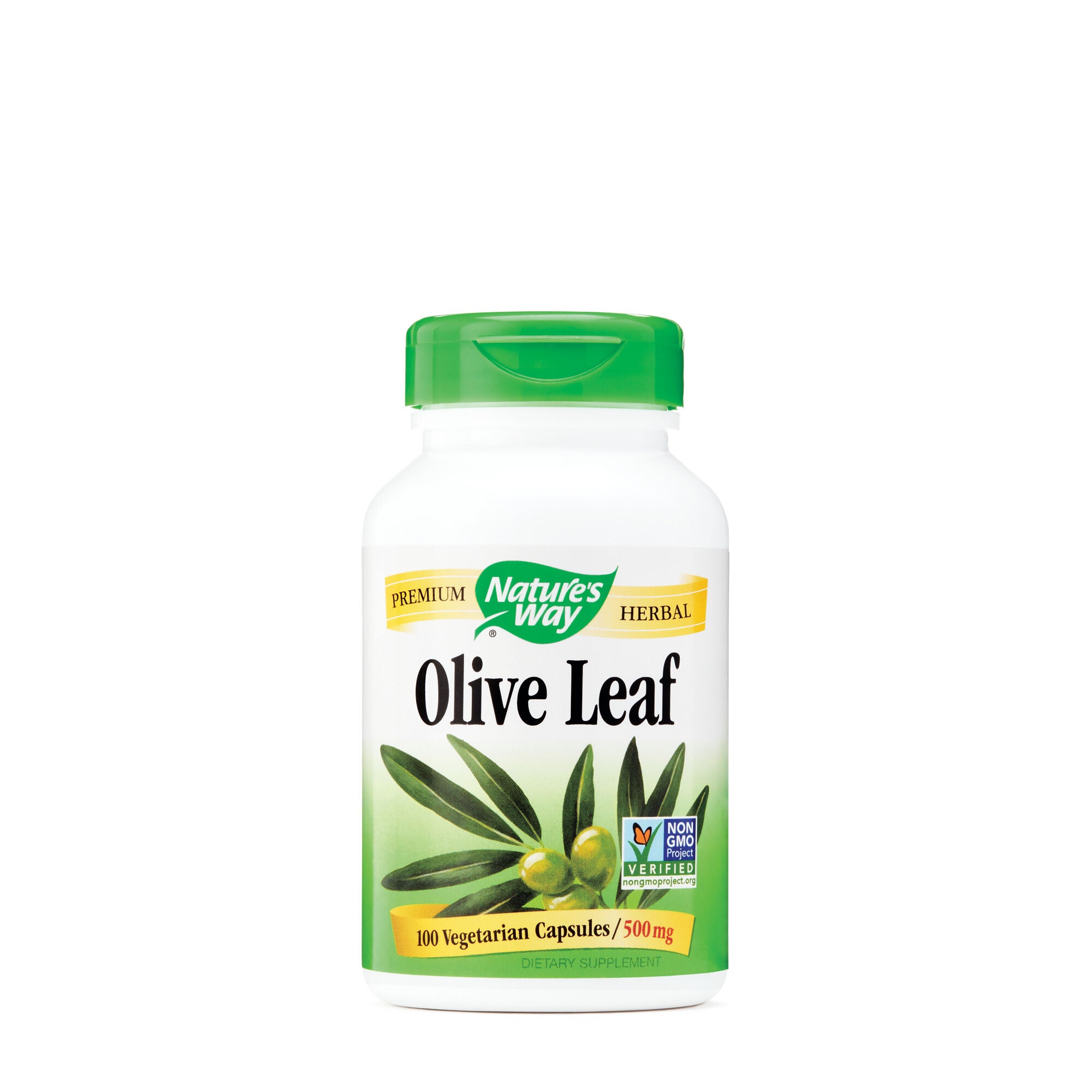 Olive Leaf | GNC