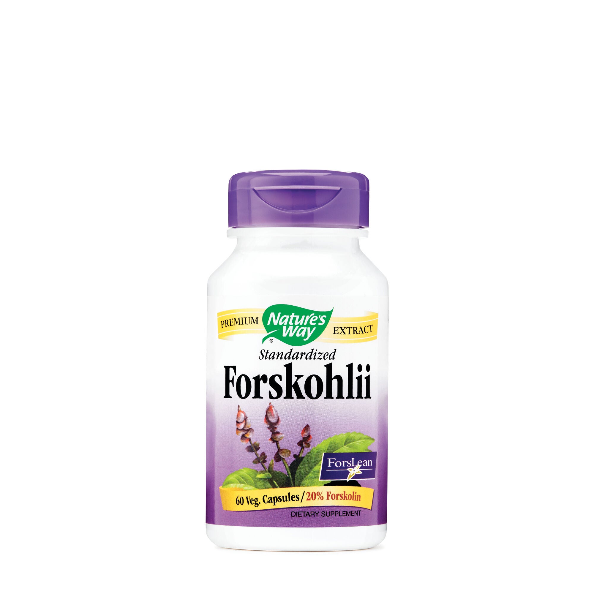 Standardized Forskohlii 20% Forskolin | GNC