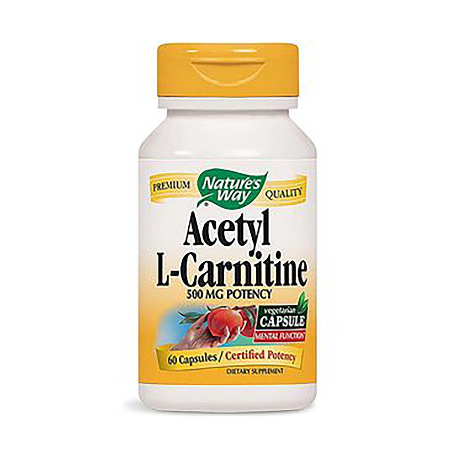 Acetyl L-Carnitine 500mg Potency | GNC
