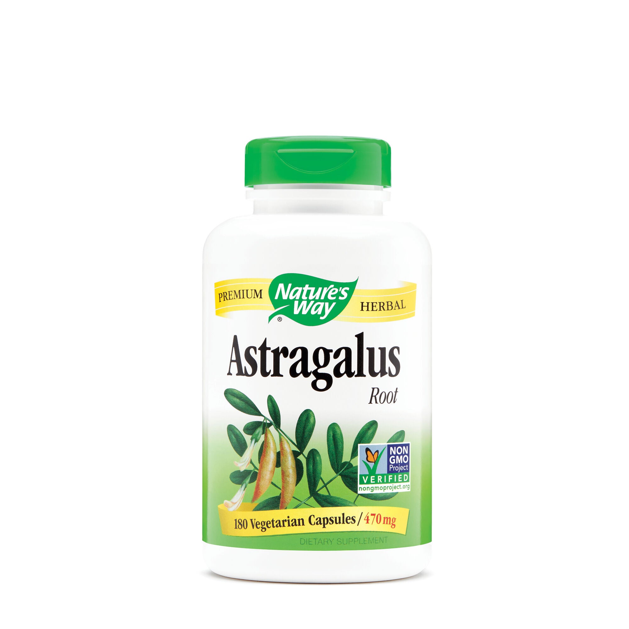 Astragalus Root | GNC