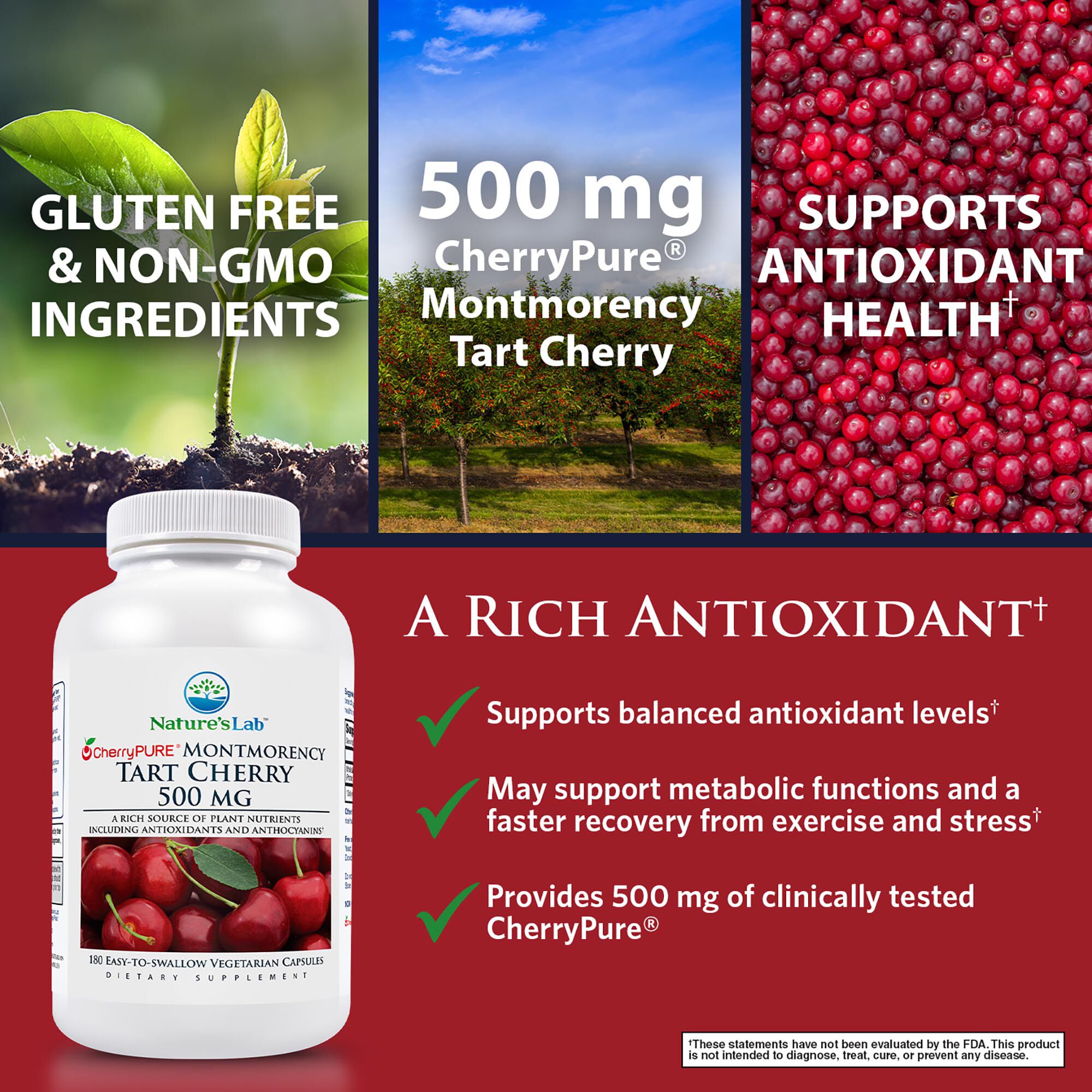 Tart Cherry - 180 Capsules (180 Servings)  | GNC