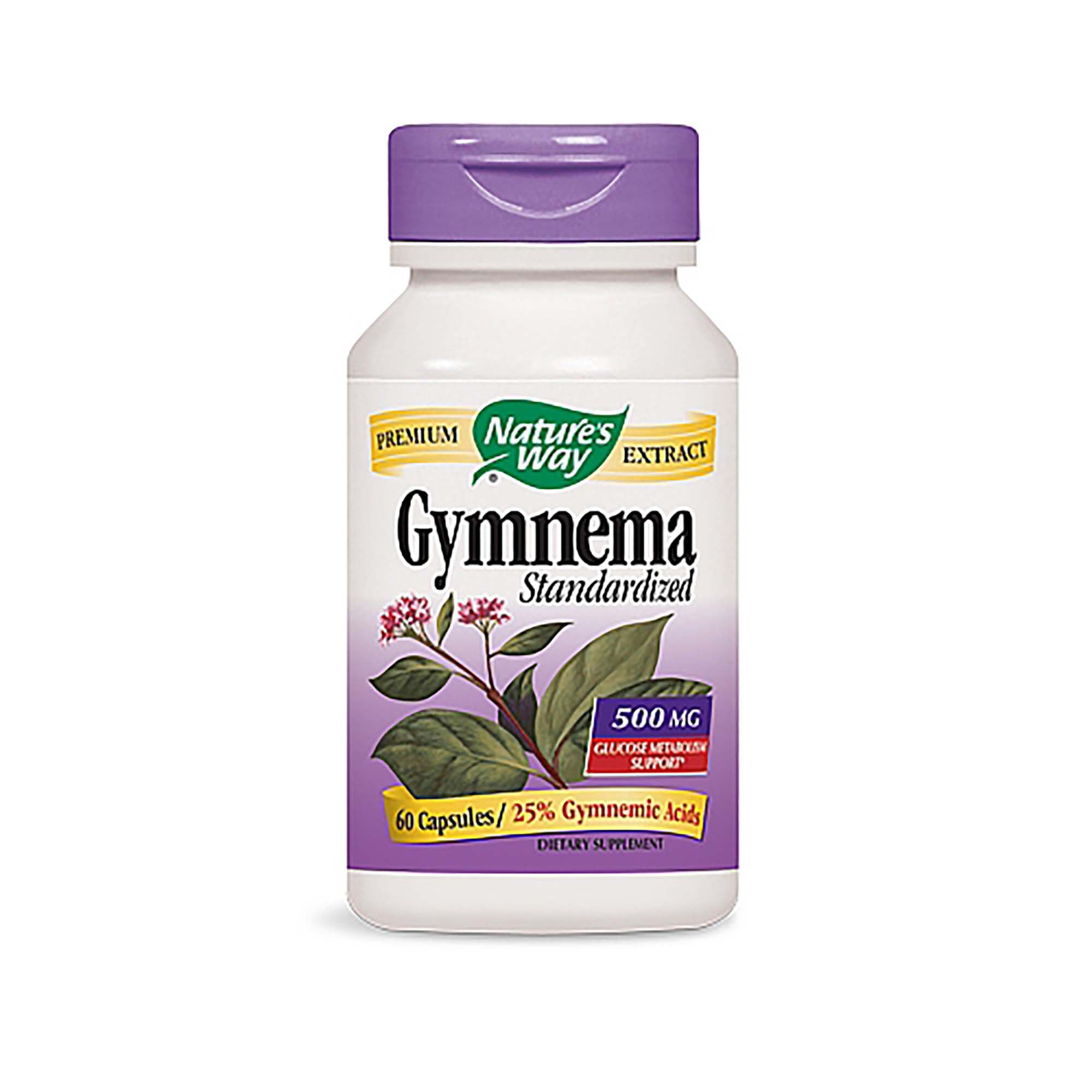 Nature S Way Gymnema Gnc