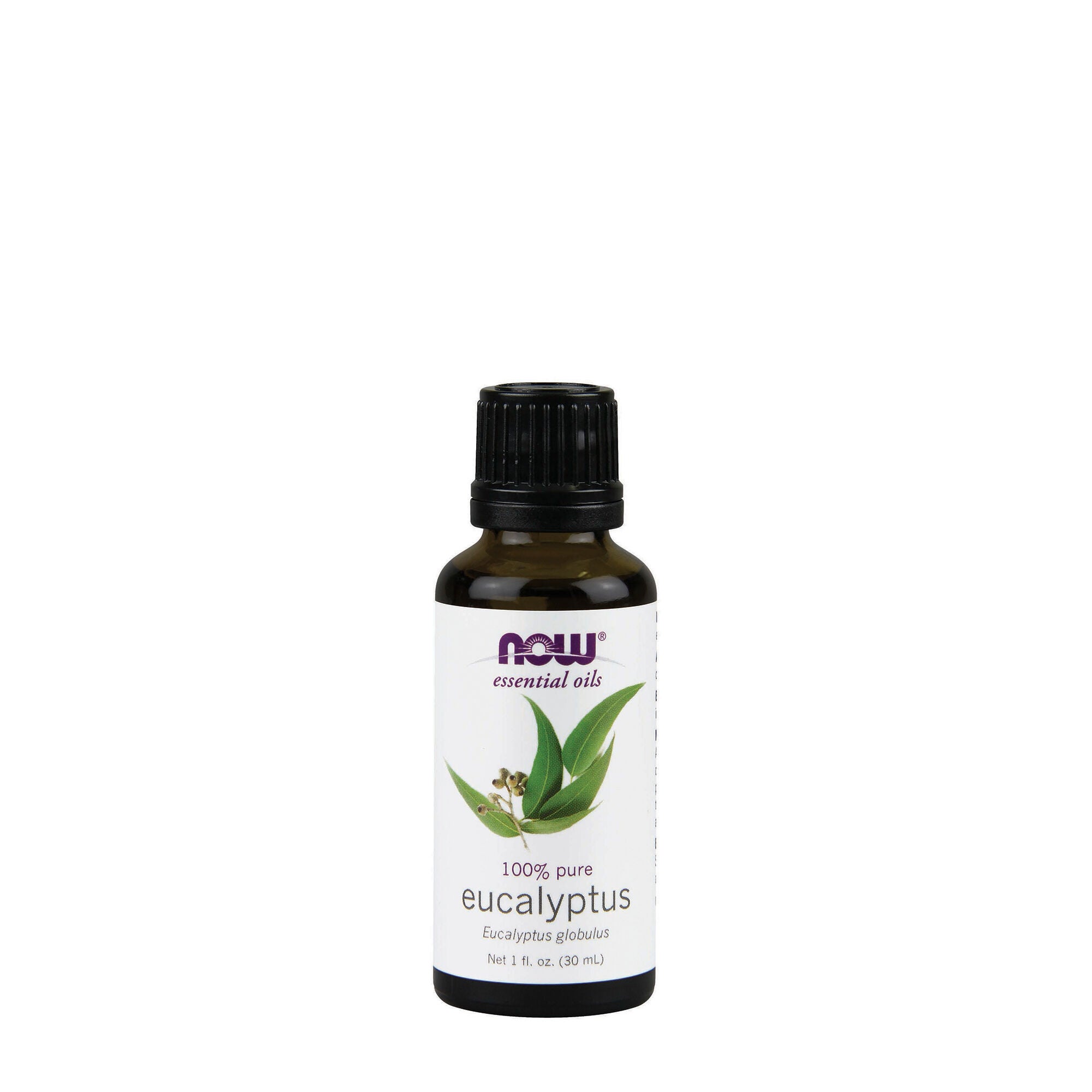 Now Eucalyptus Oil Gnc