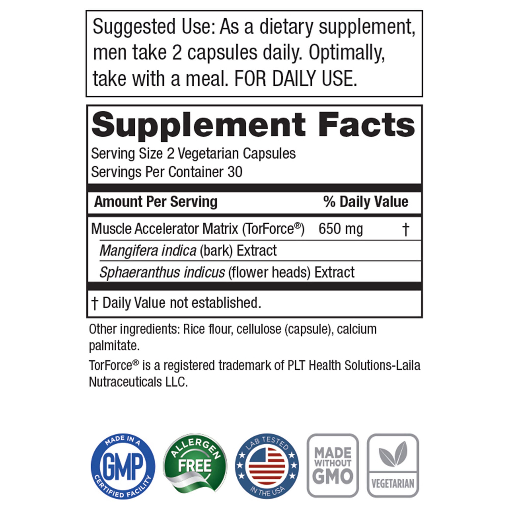 Muscle Accelerator (30 Servings)