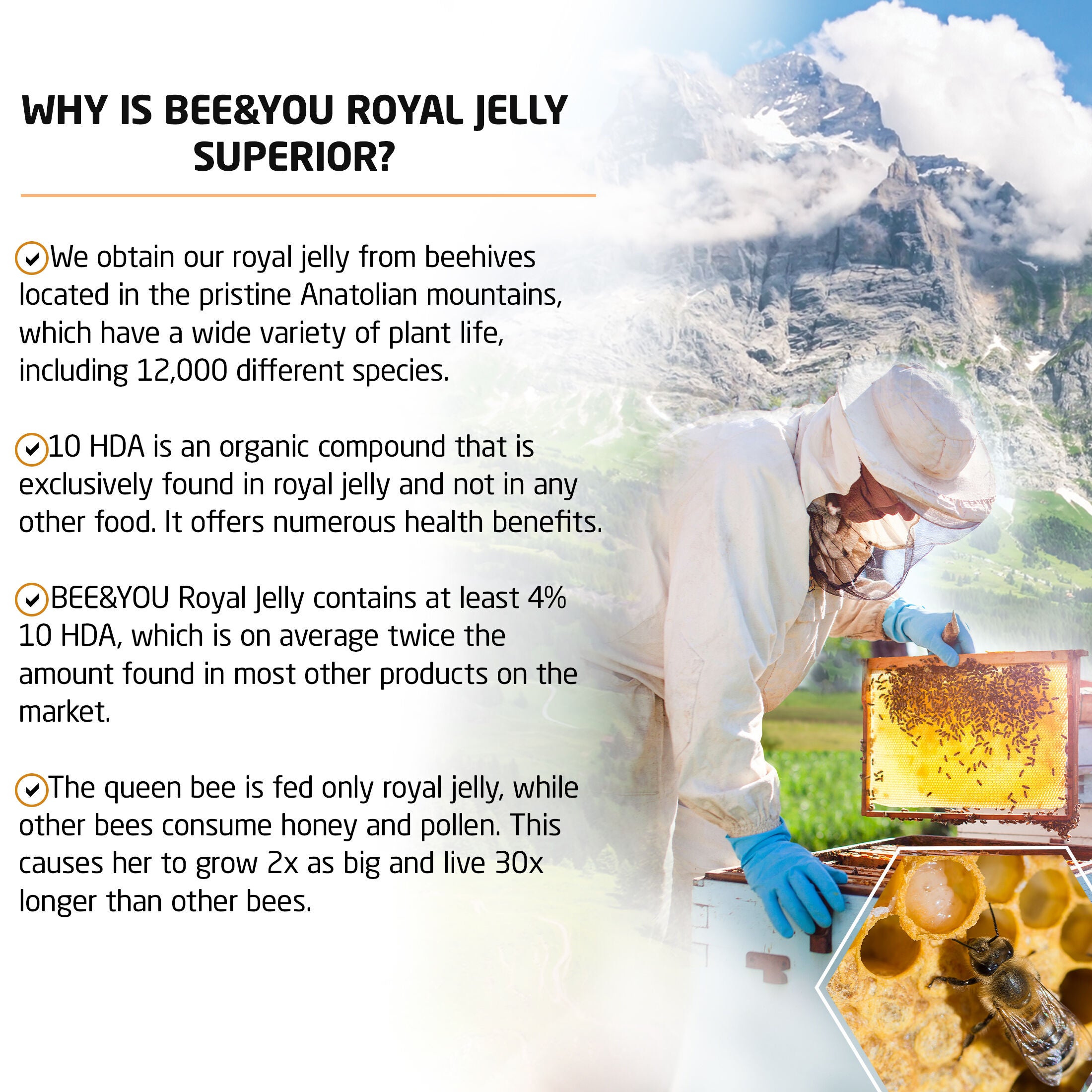 Natural Energy Shot with Ginseng (Caffeine Free) - 1.69 oz. (12 Bottles)  | GNC