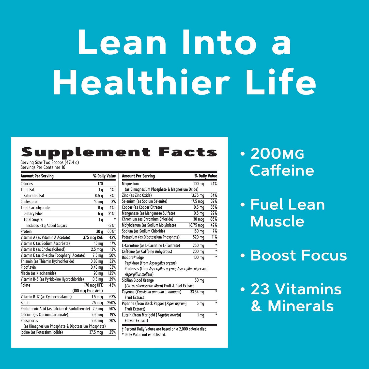 Lean Shake&trade; Burn - Chocolate Fudge (16 Servings) Chocolate Fudge | GNC