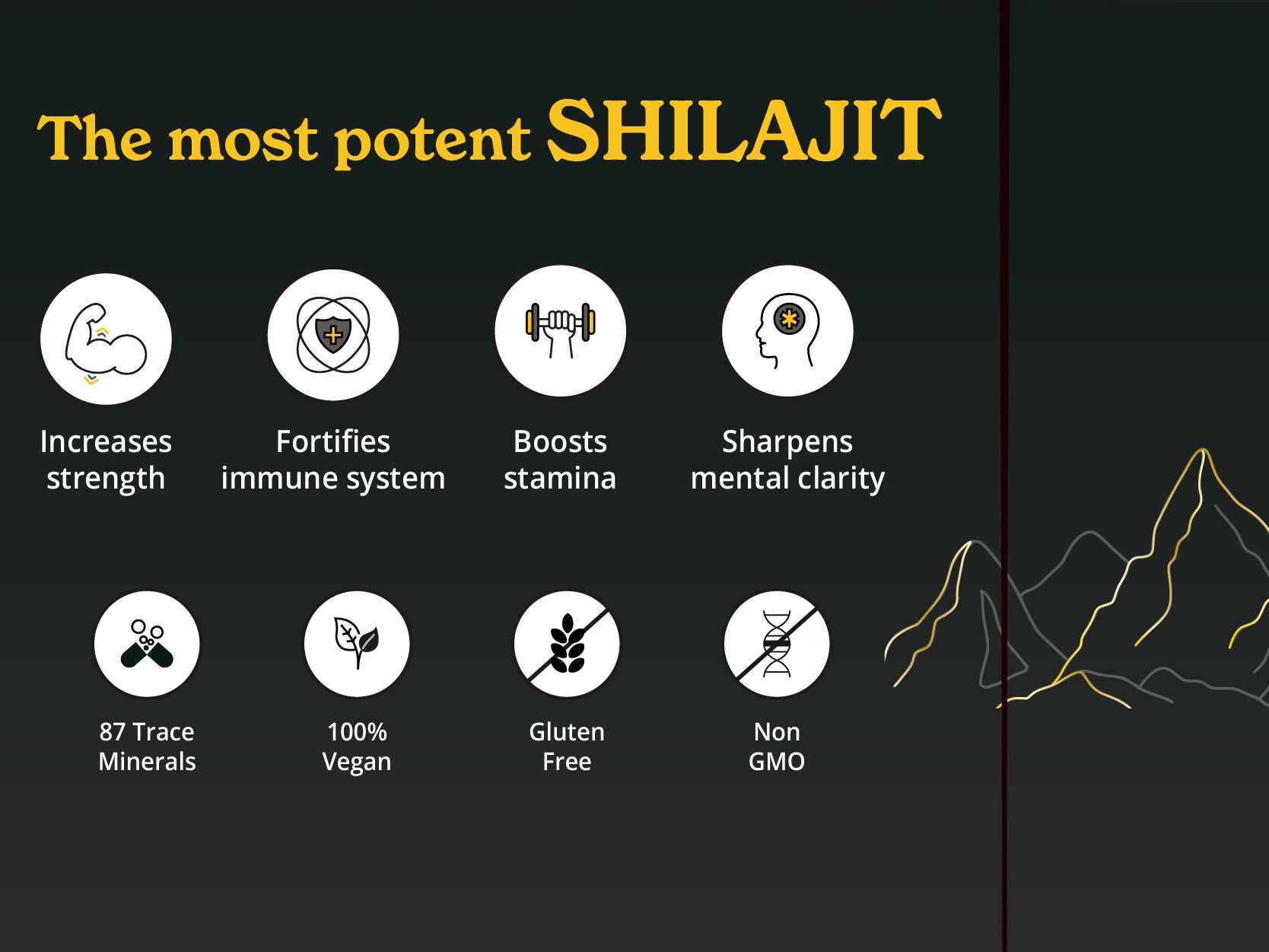 Himalayan Shilajit - 1.06 oz. (75 Servings)