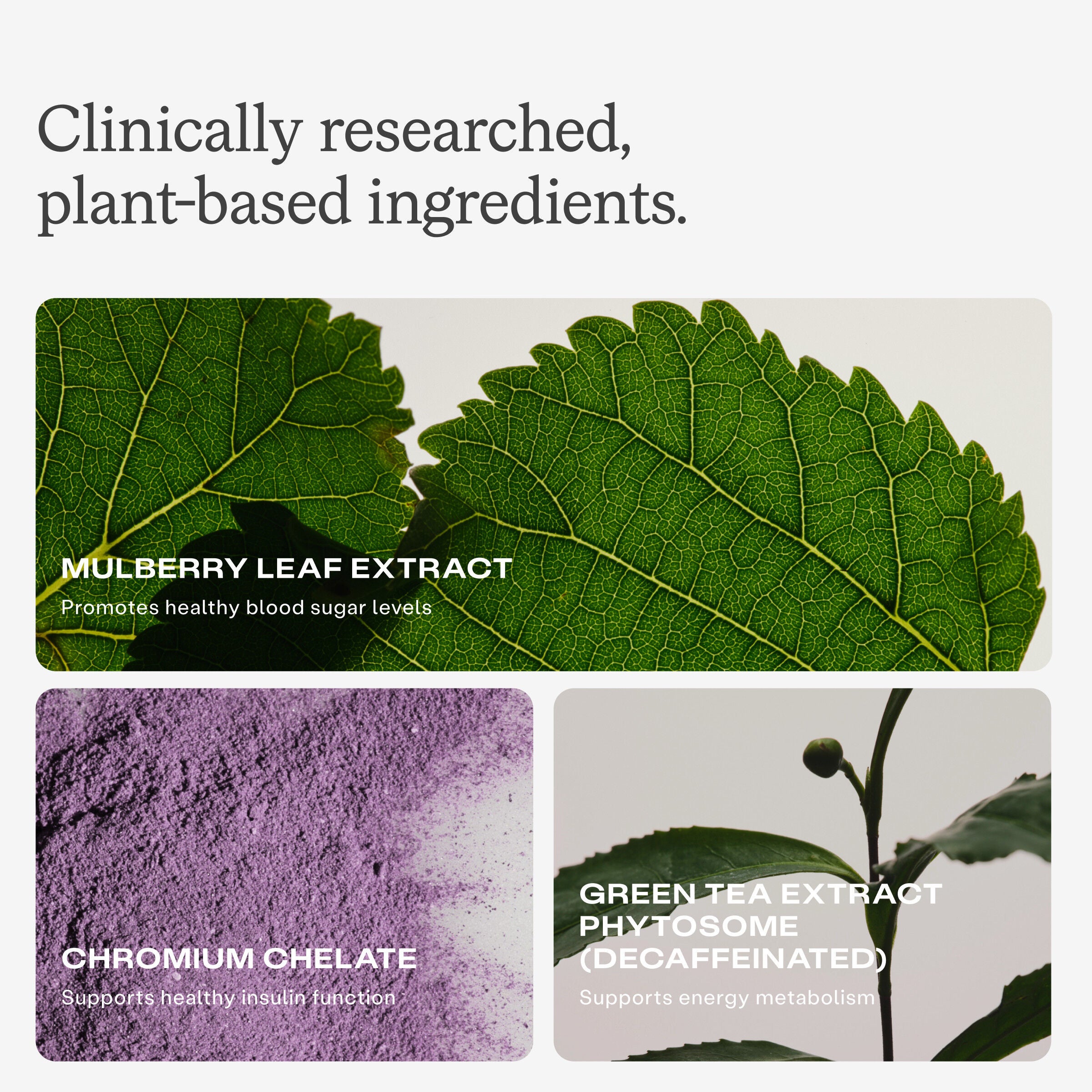 Metabolic Health Daily (30 Servings)  | GNC