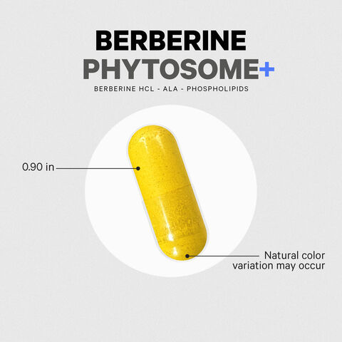 Berberine Phytosome - 60 Capsules  | GNC