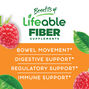 Sugar Free Prebiotic Fiber - 60 Gummies &#40;30 Servings&#41;  | GNC