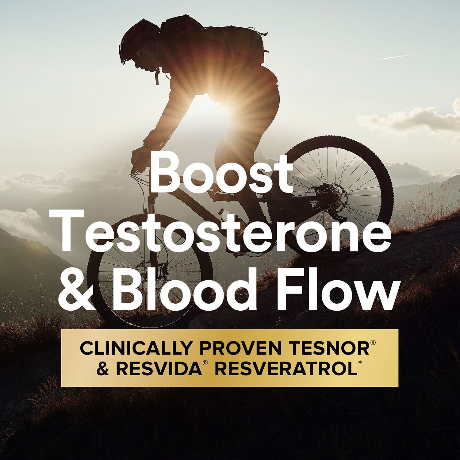 Healthy Testosterone Vitapak&reg; Program V2 (1 Month Supply)  | GNC
