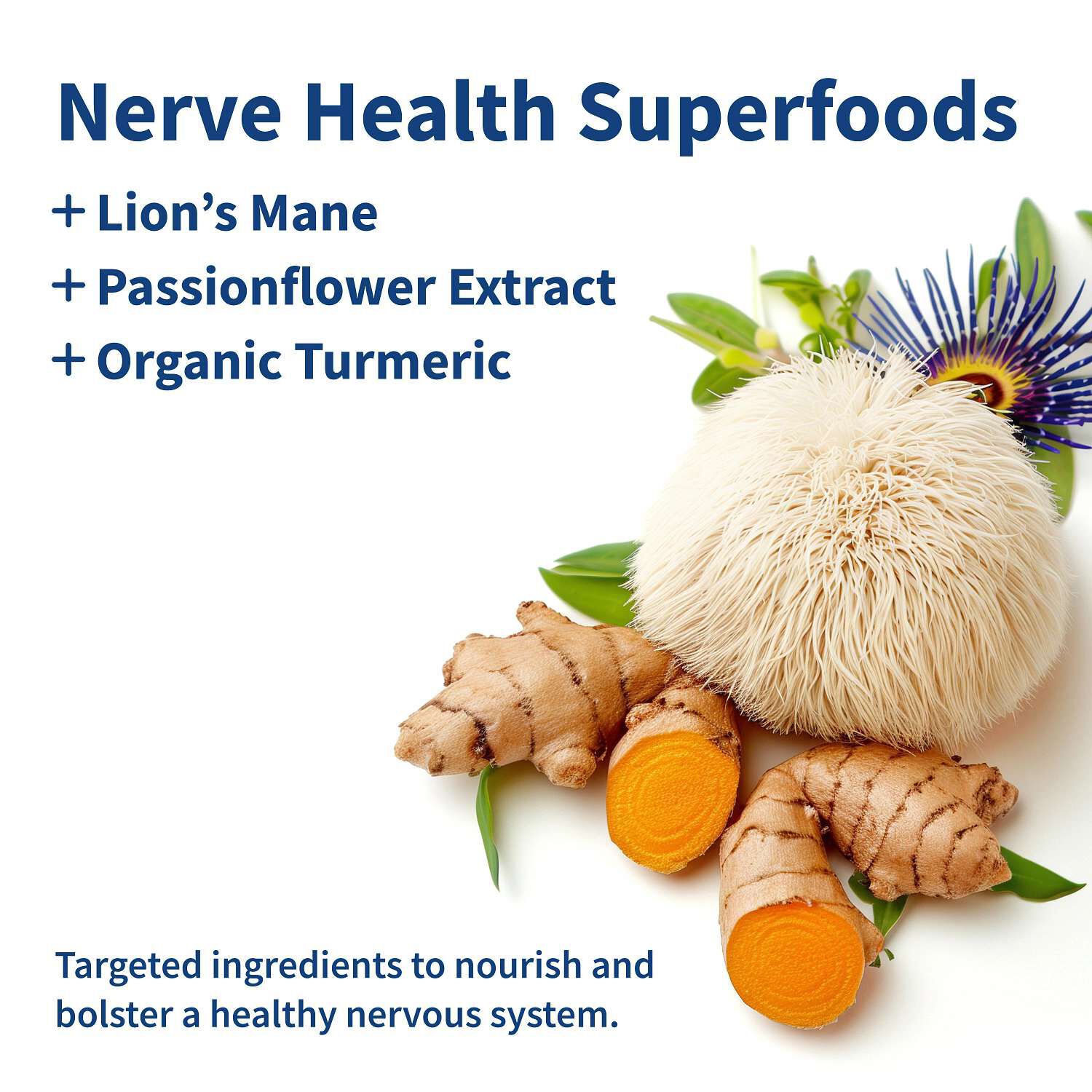 Nerve Health + Lion's Mane - 60 Capsules (30 Servings)  | GNC