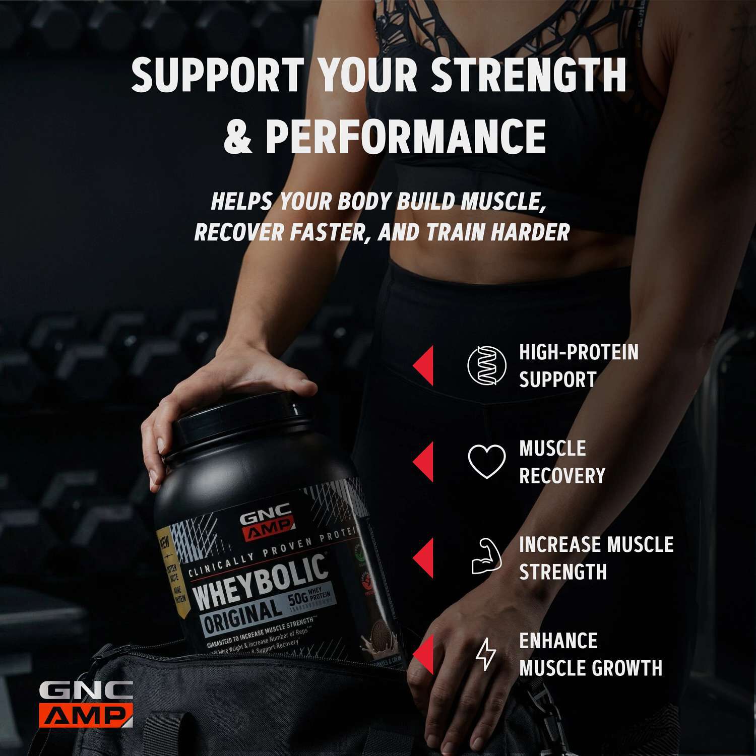 New Wheybolic - Chocolate Fudge (26 Servings) Chocolate Fudge | GNC