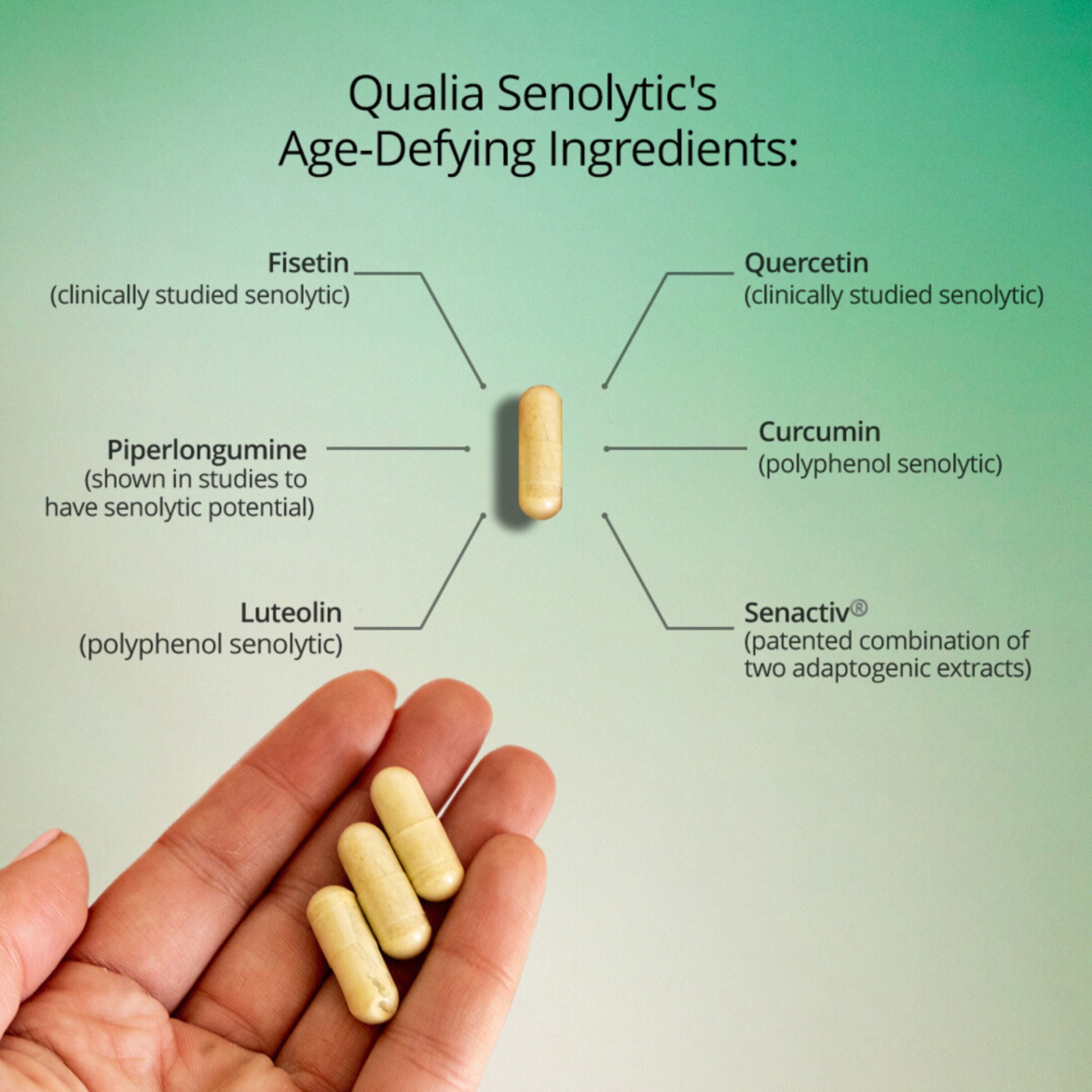 Qualia Senolytic - 12 Capsules (2 Servings)