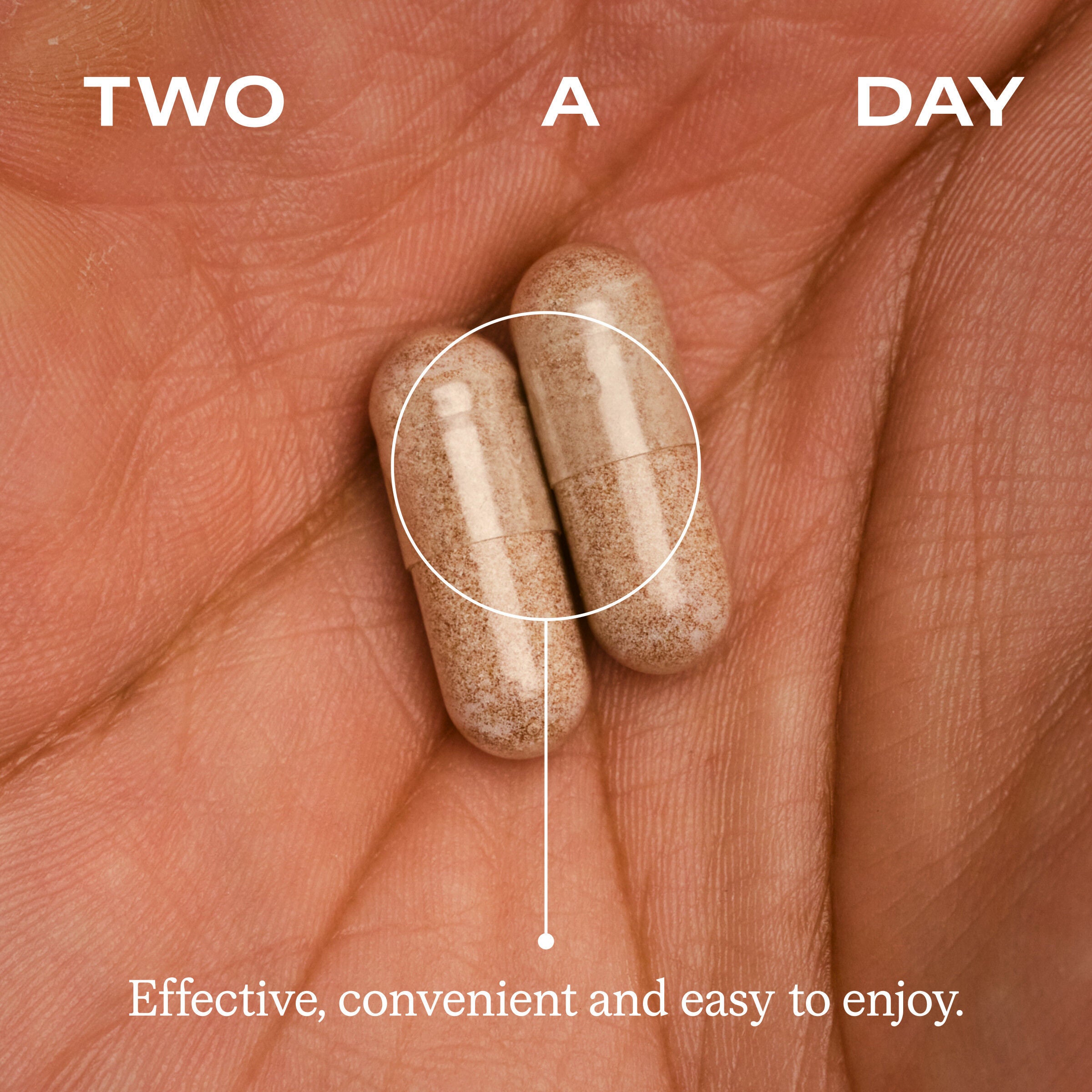 Metabolic Health Daily (30 Servings)