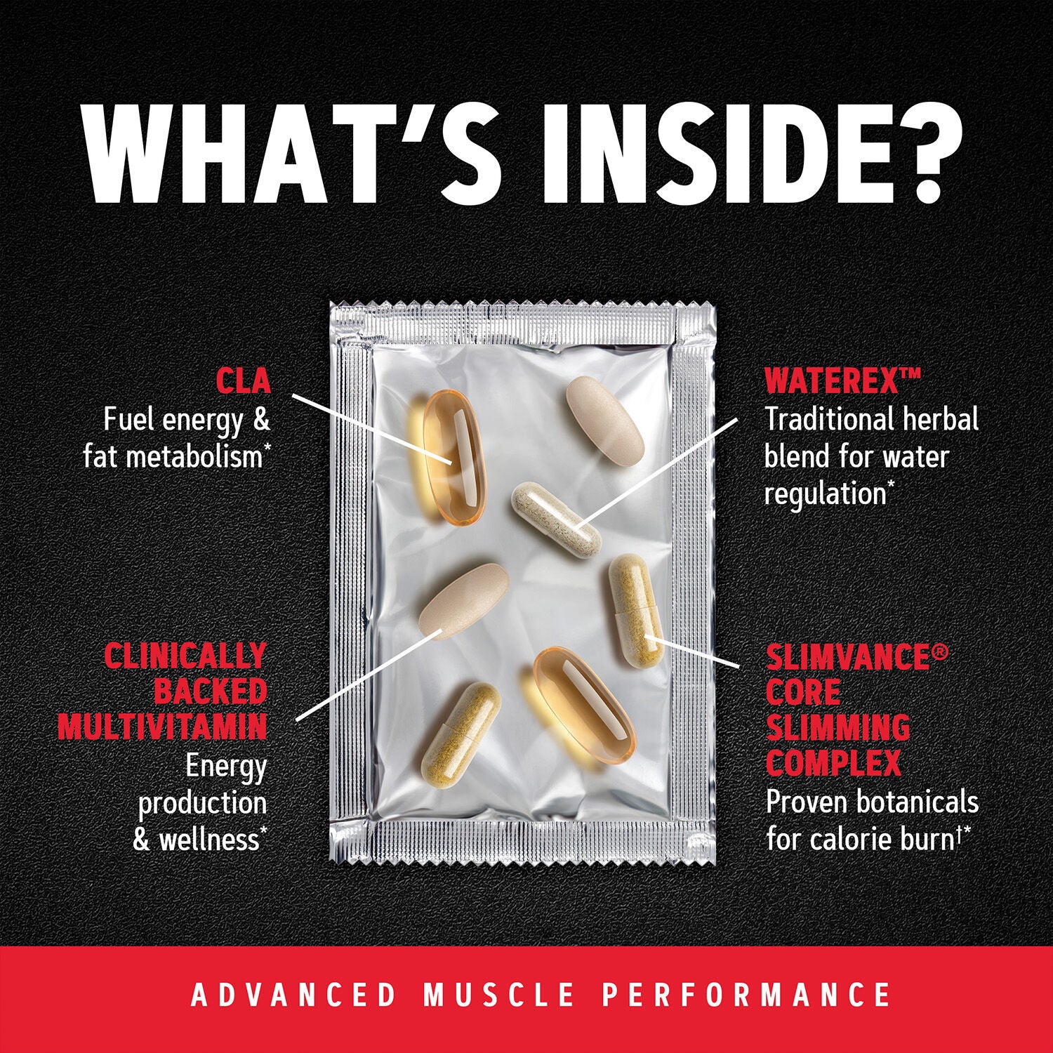 Ripped Non-Stim Vitapak (1 Month Supply)  | GNC