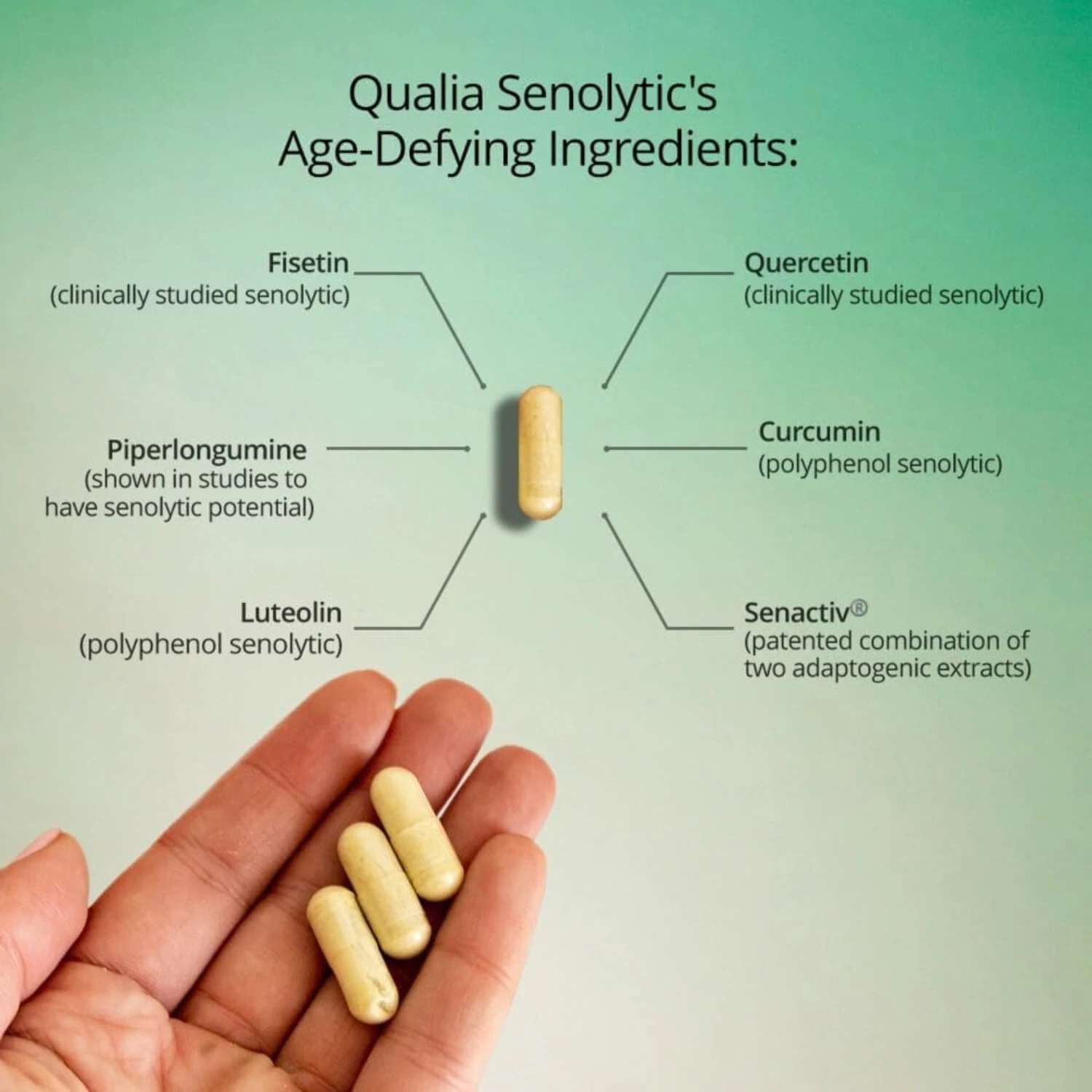 Qualia Senolytic - 12 Capsules (2 Servings)  | GNC