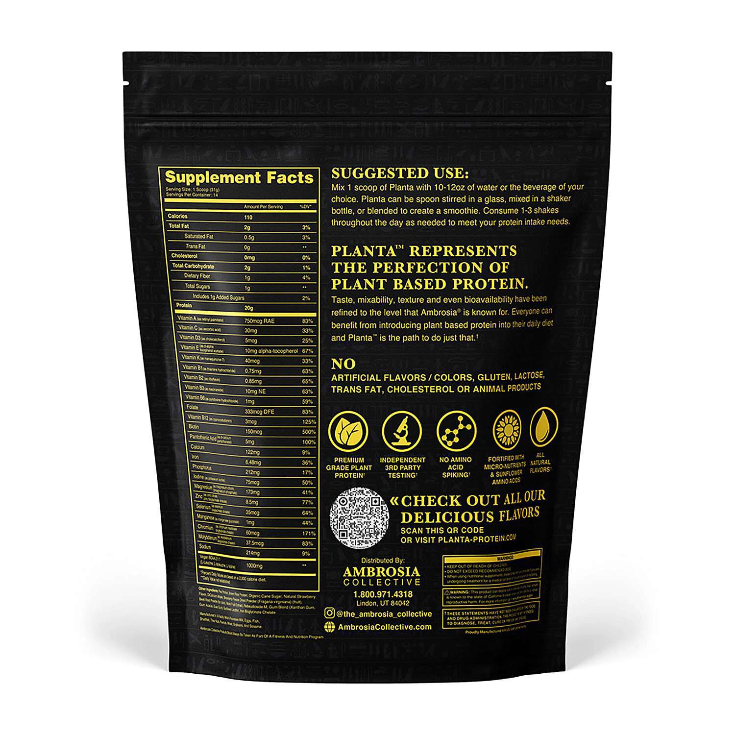 Plant Protein - Strawberry Ice Cream (14 Servings)  | GNC