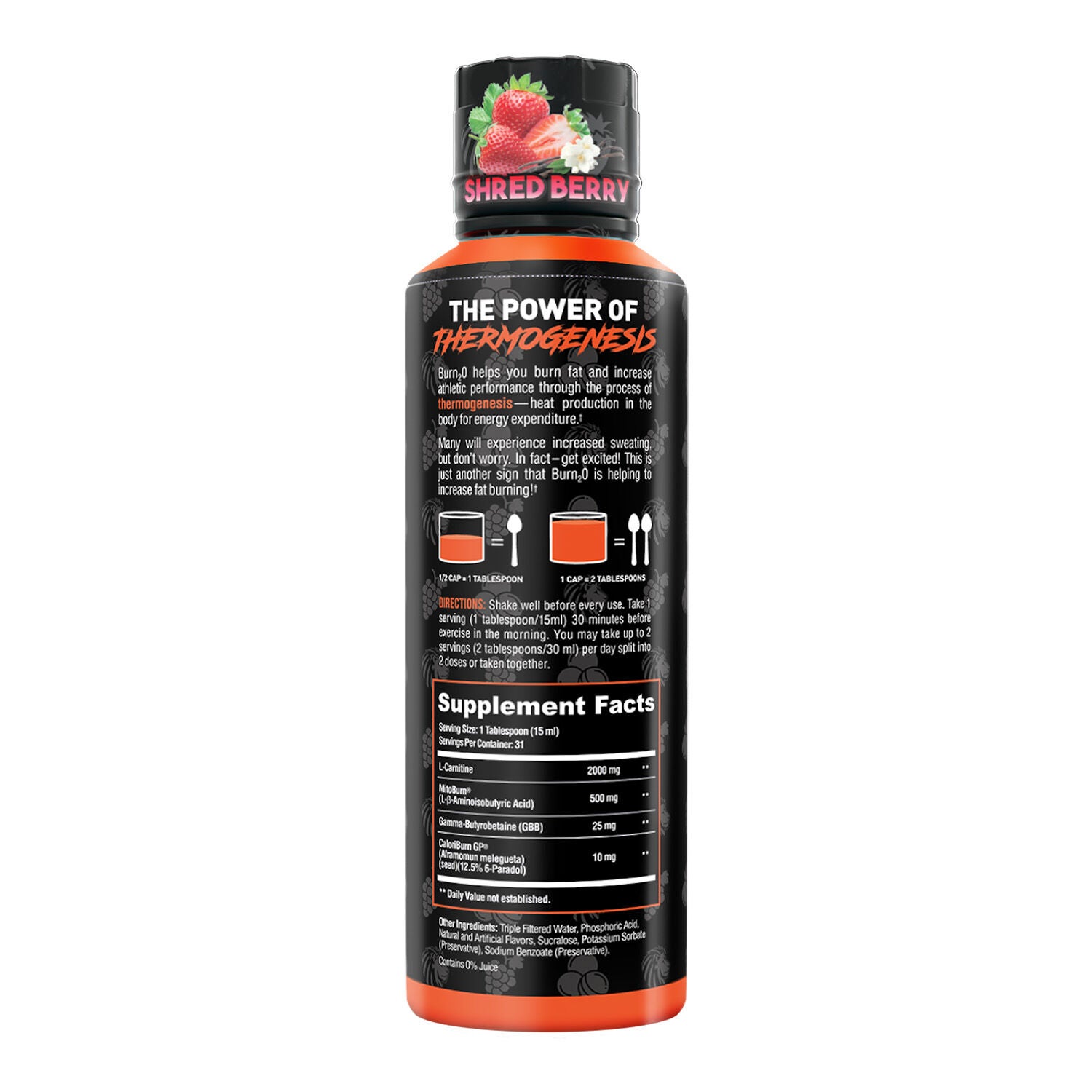 Alpha Lion Burn-2-0 - Shredberry (31 Servings) | GNC