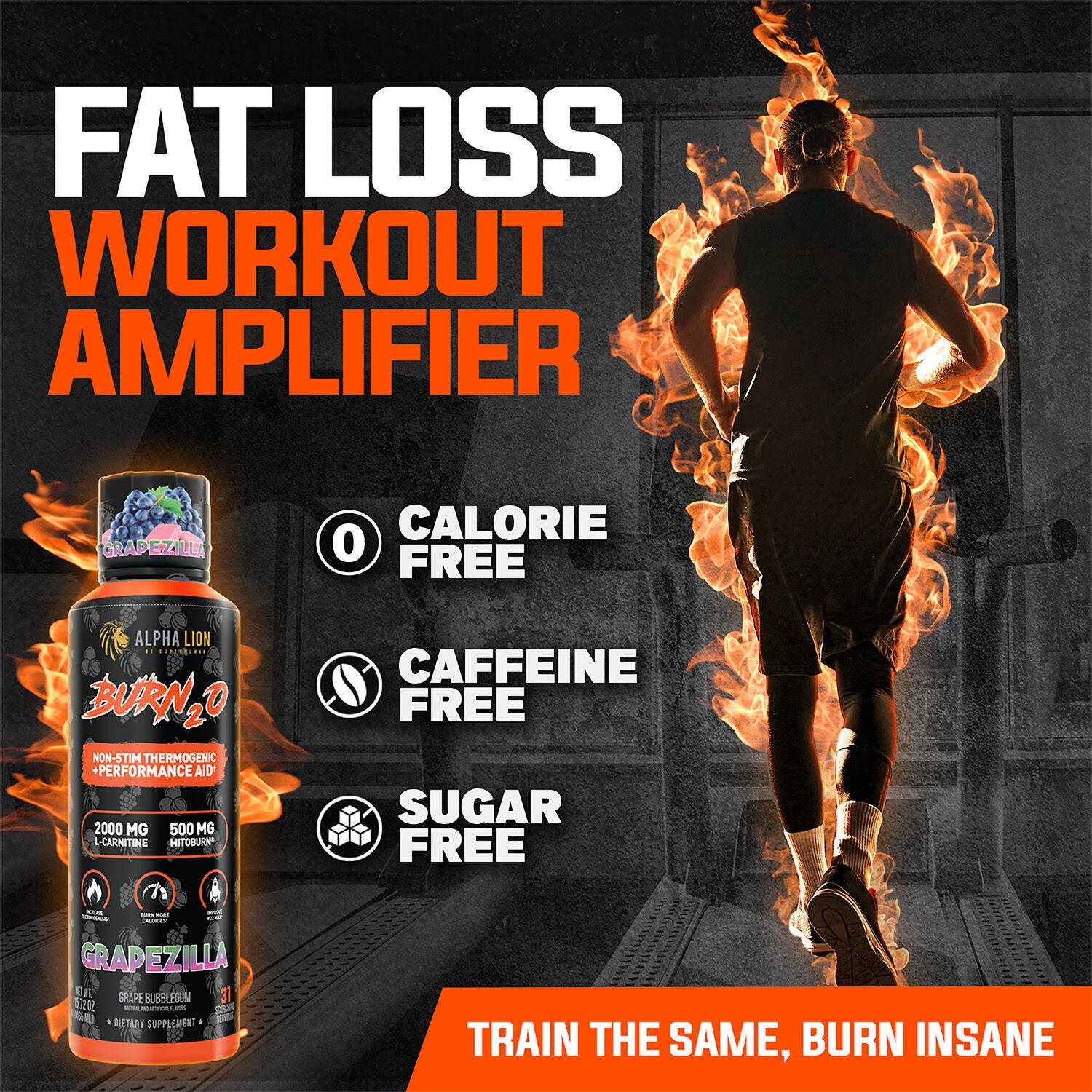 Burn2o Grapezilla - 15 fl oz. (31 Servings) Grapezilla | GNC