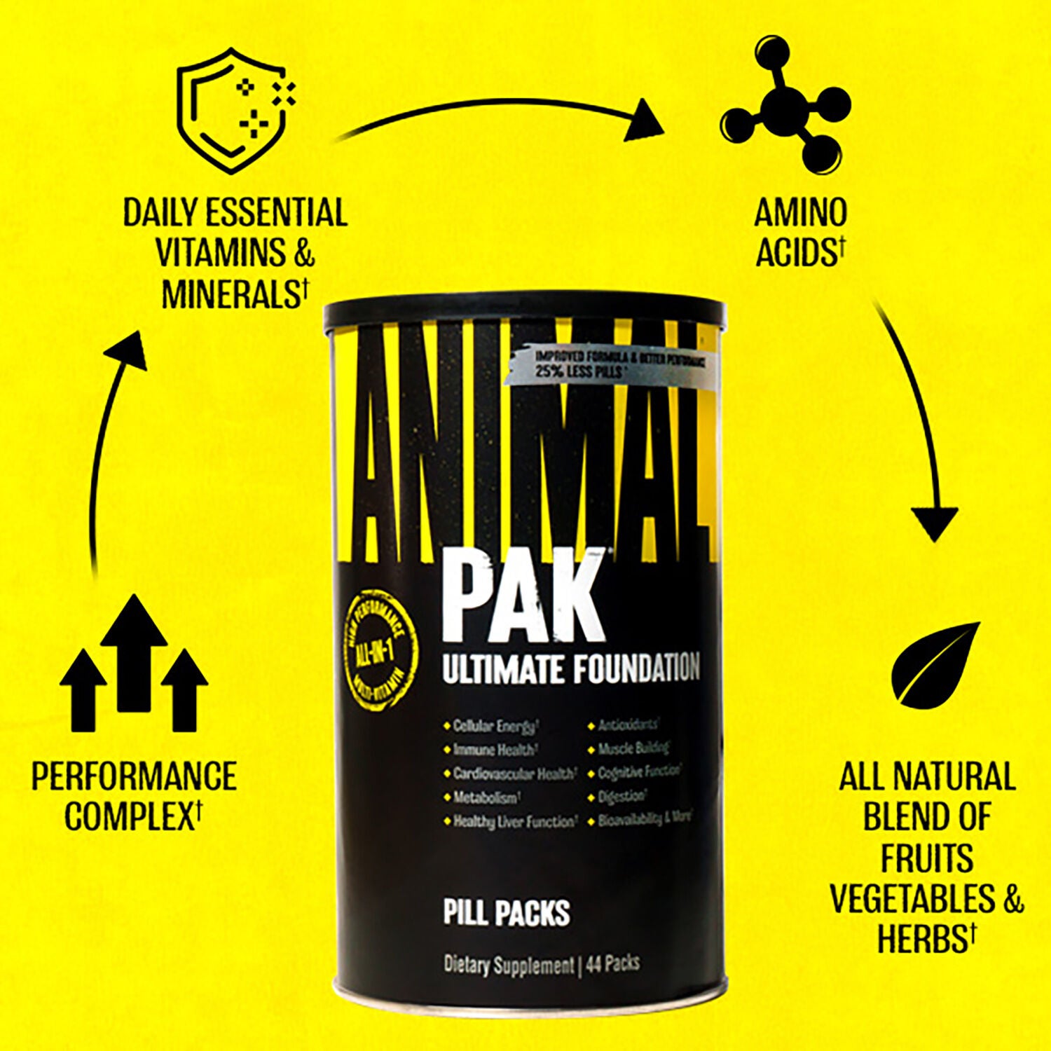 Animal Pak Ultimate Foundation Pill Packs - 44 Packs &#40;22 Servings&#41;  | GNC