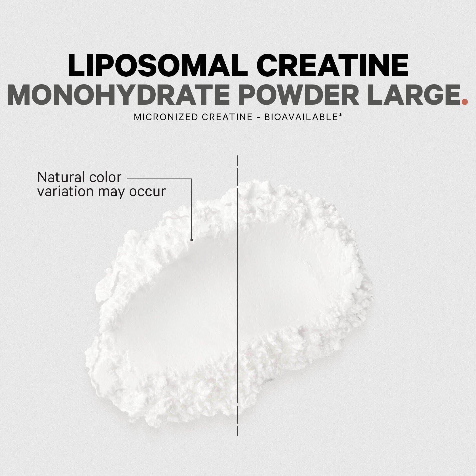 Liposomal Creatine Powder - Unflavored (90 Servings)