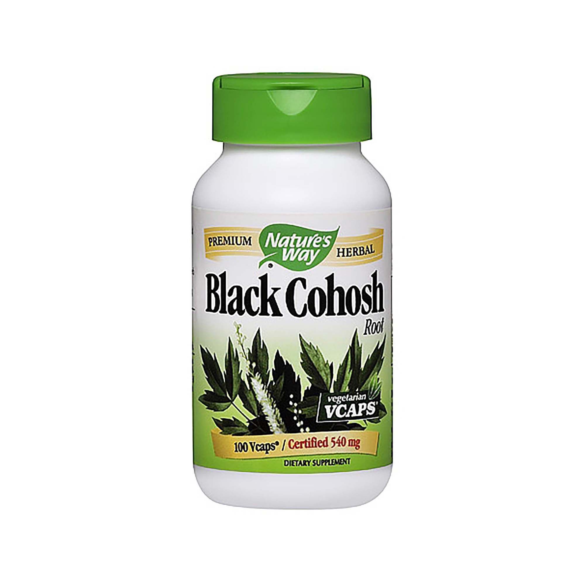 Black Cohosh Root Extract Dosage Brain Mind Article