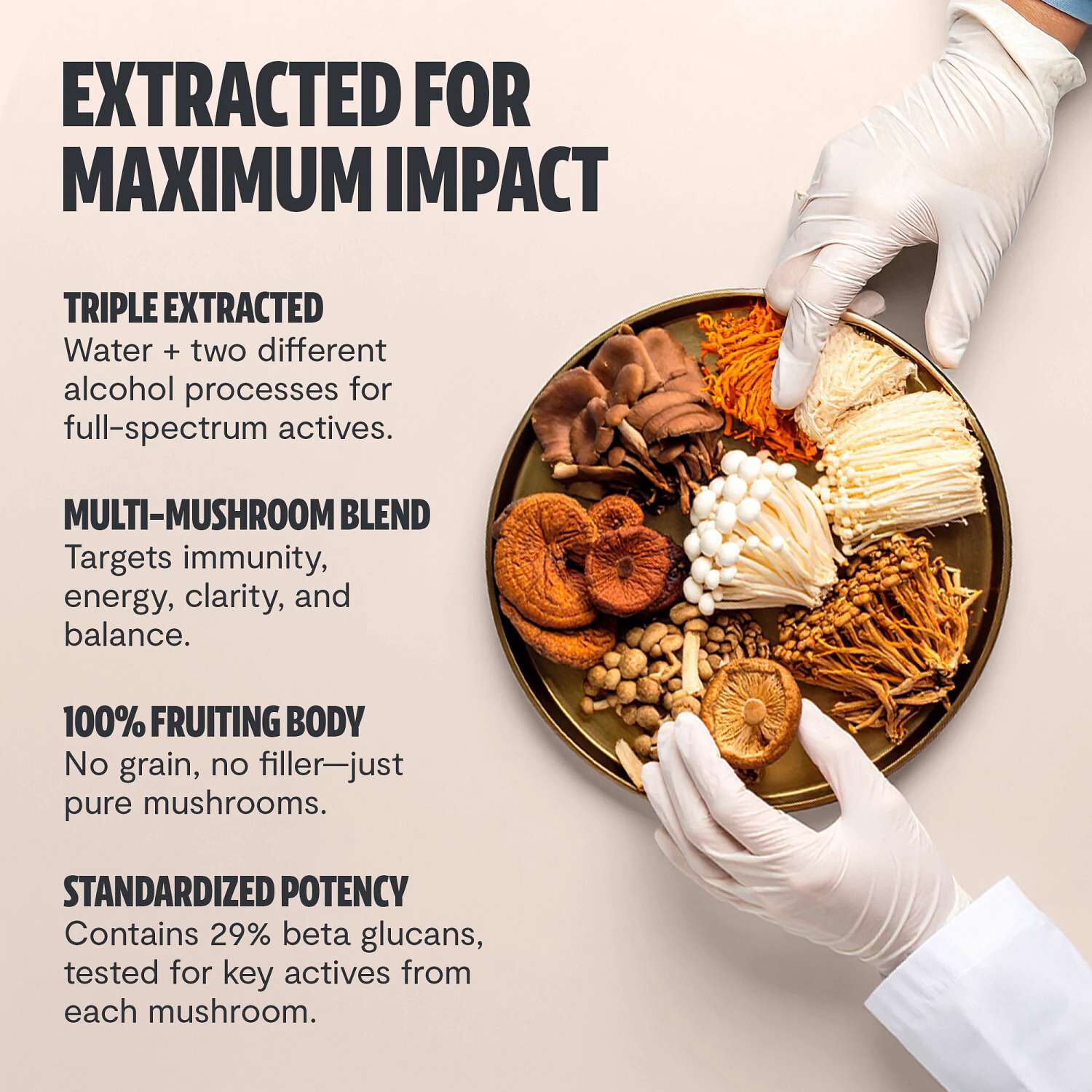 Ultimate Mushroom Complex - 60 Capsules (30 Servings)  | GNC