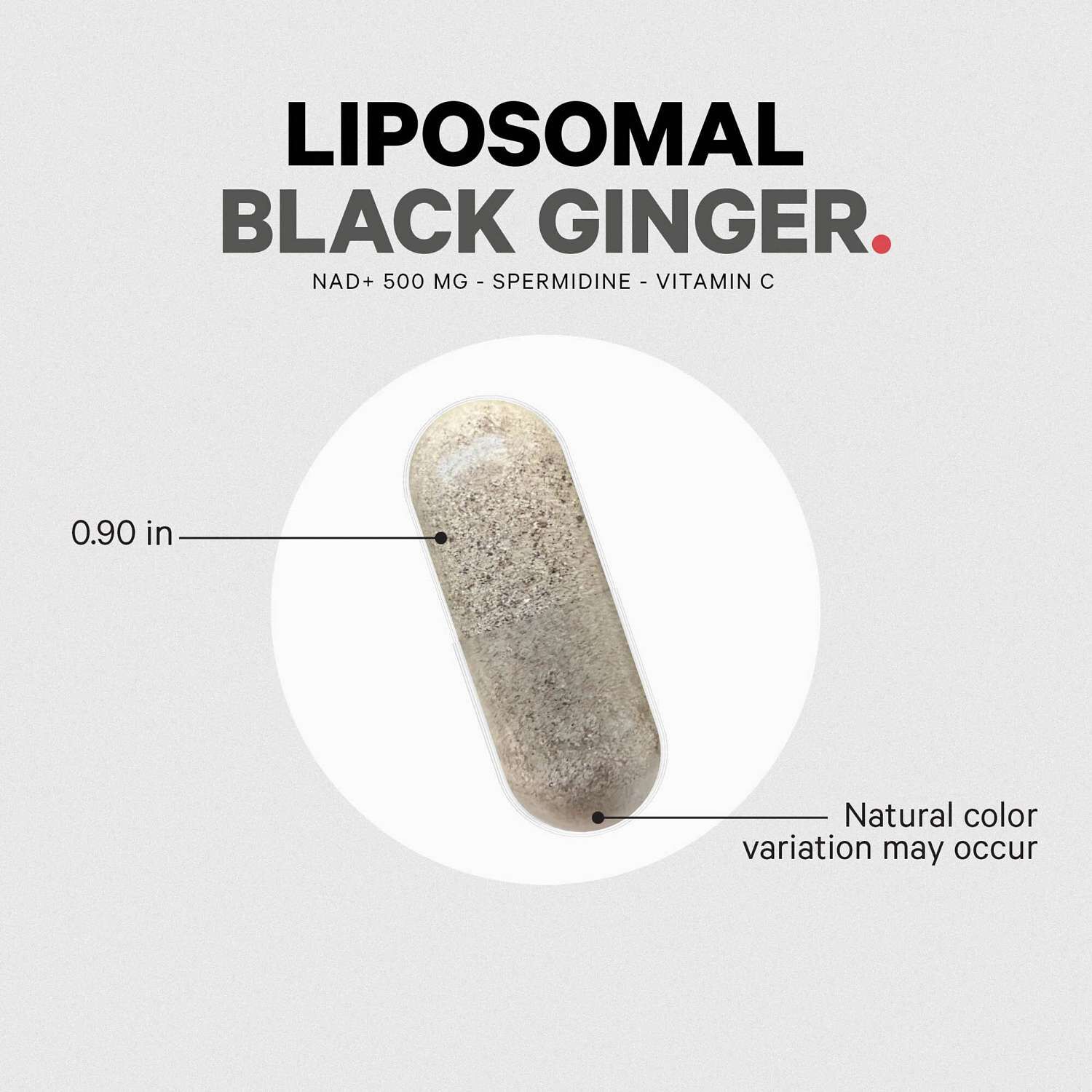 Liposomal Black Ginger - 90 Vegetable Capsules (90 Servings)  | GNC