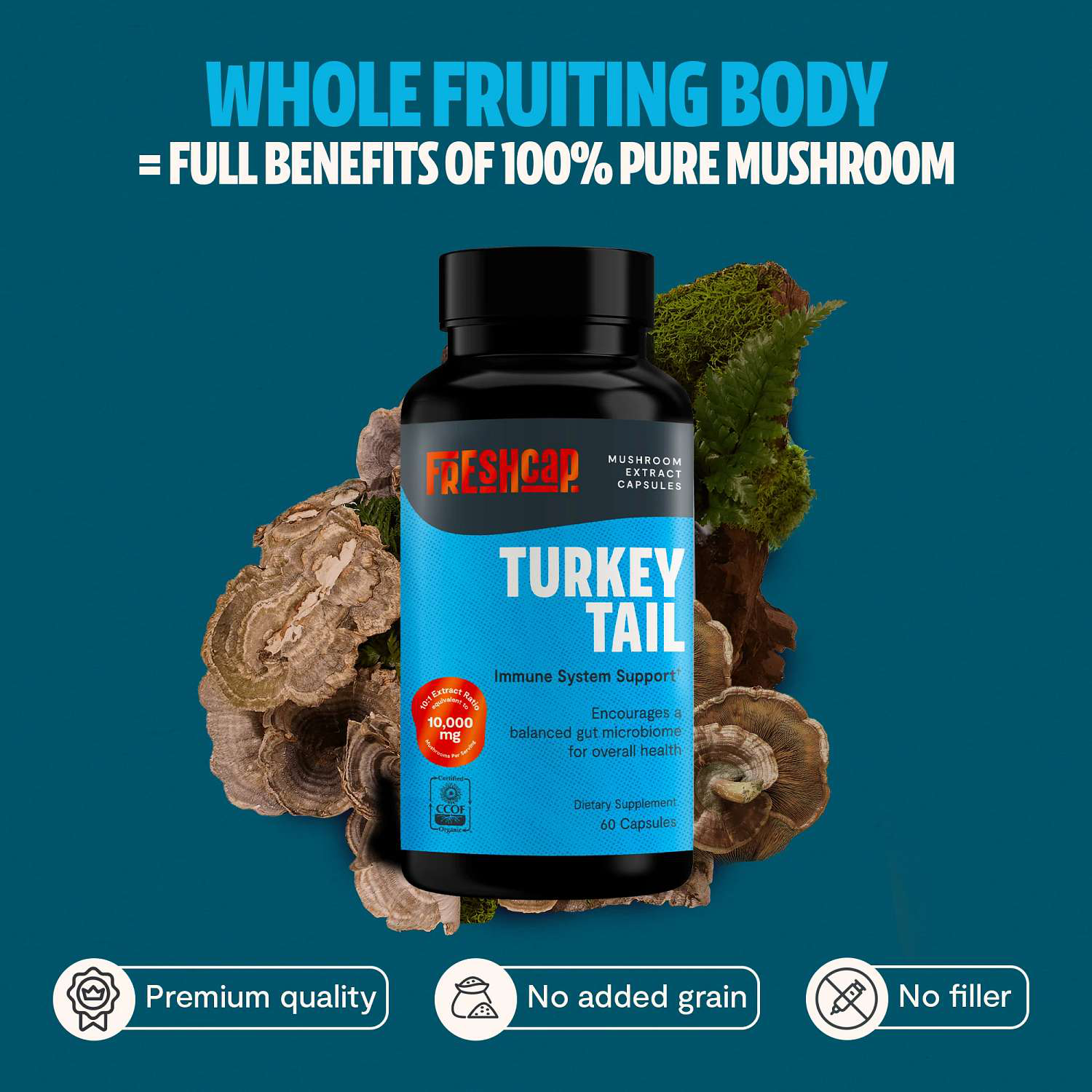 Turkey Tail - 60 Capsules (30 Servings)
