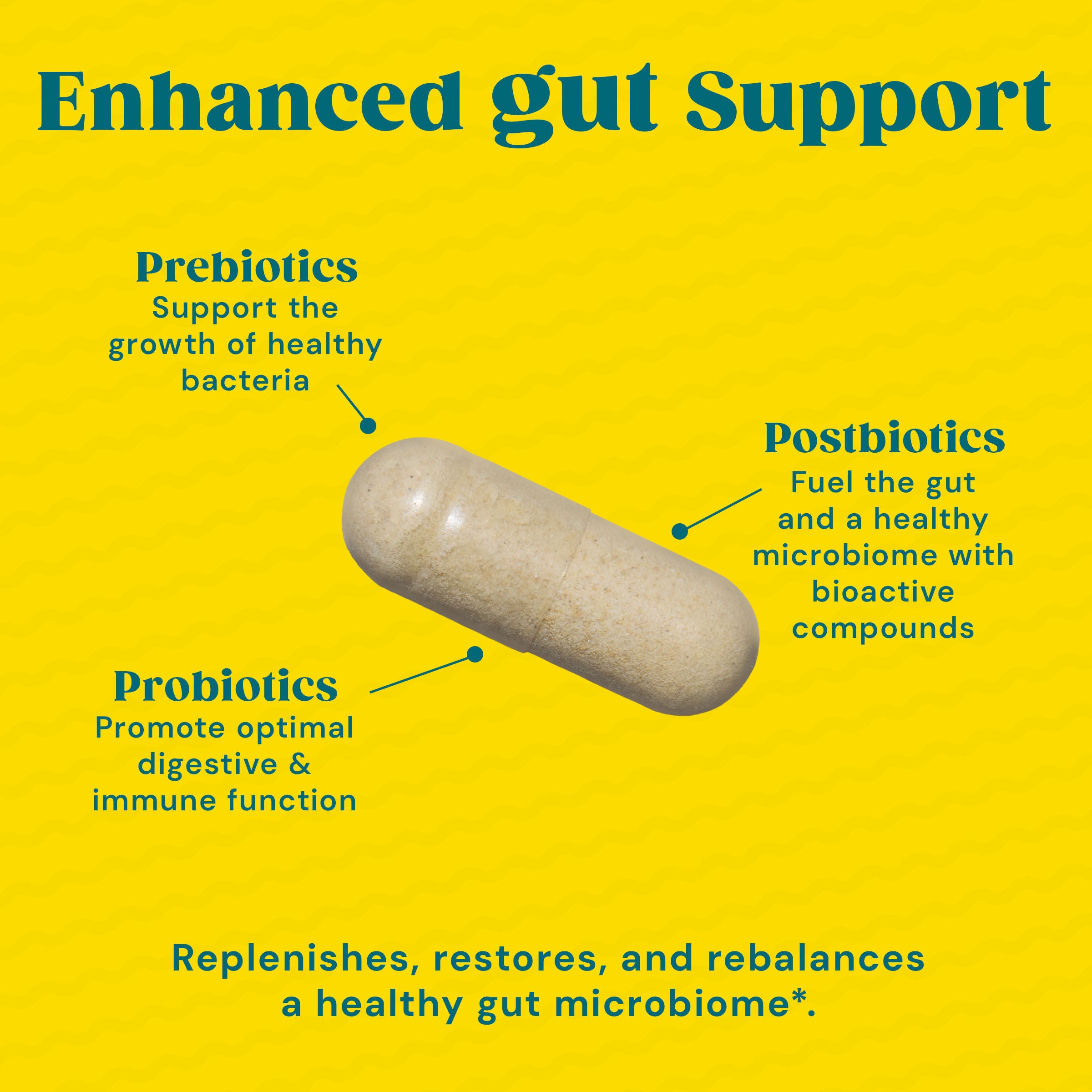 Daily Synbiotic (30 Servings)  | GNC