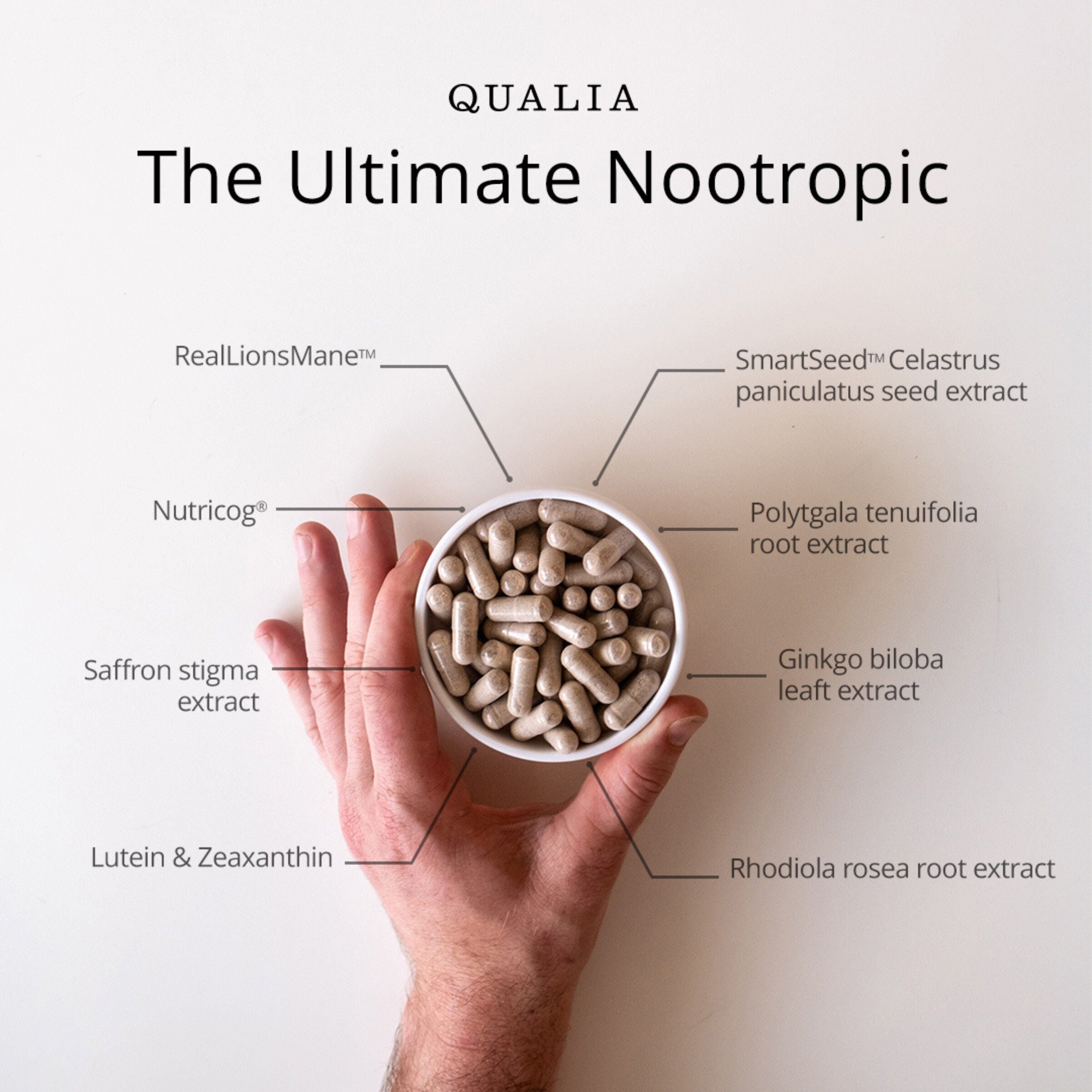 Qualia Mind 2.0 - 30 Capsules (5 Servings)
