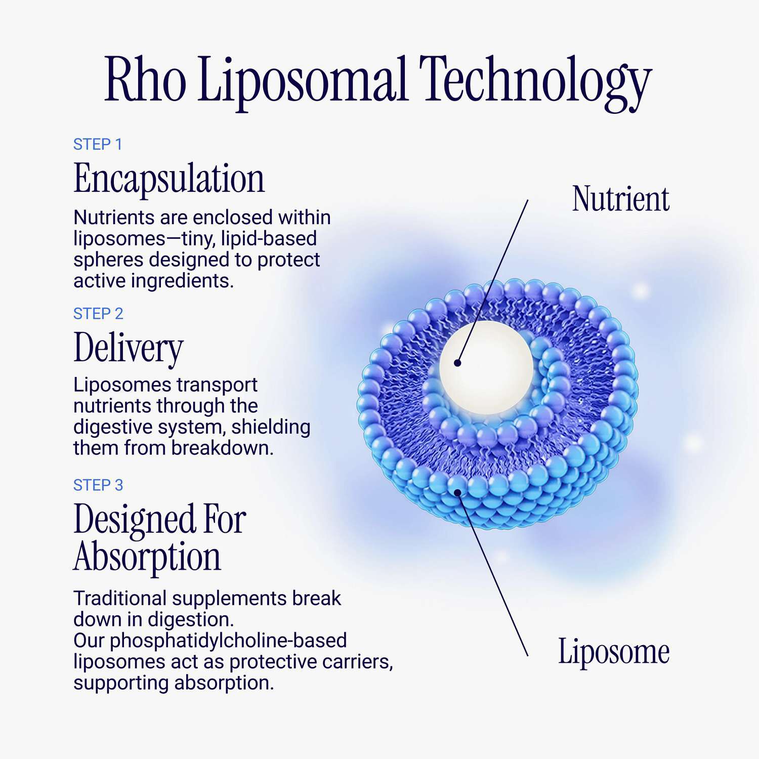 Liposomal Collagen Peptides Complex - 5 fl oz. (30 Servings)