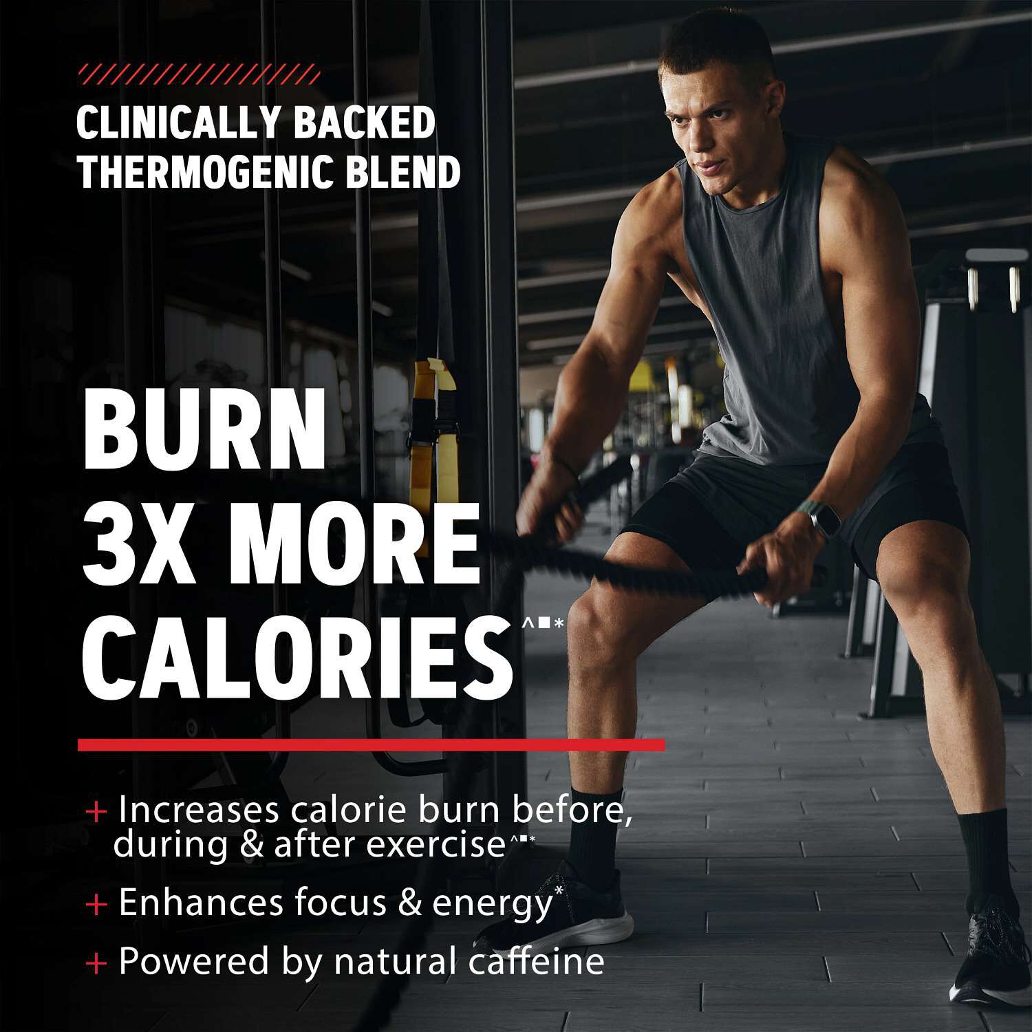 Wheybolic&reg; Ripped - Cookies & Cream (26 Servings)