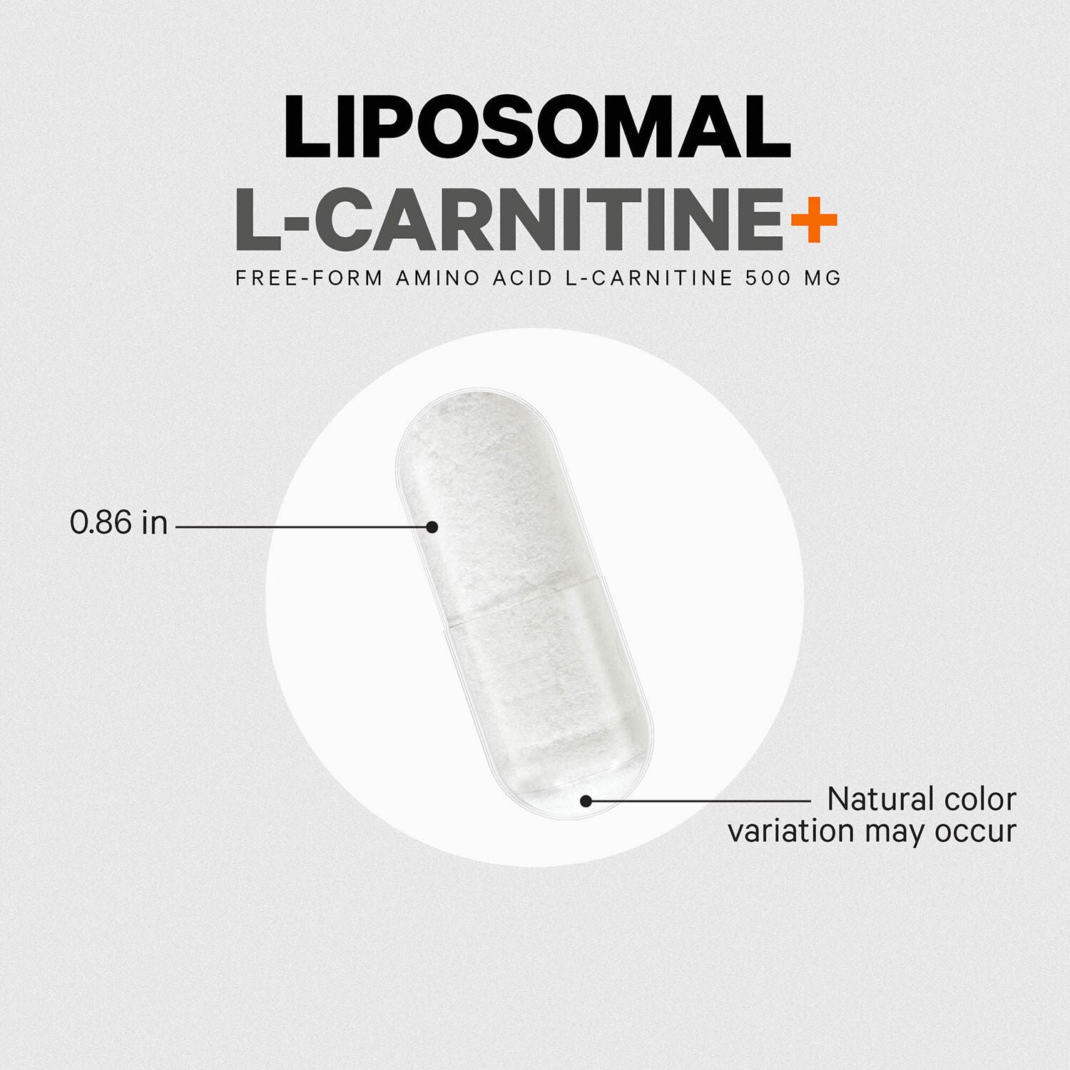 Liposomal L-Carnitine+ - 90 Capsules (90 Servings)  | GNC