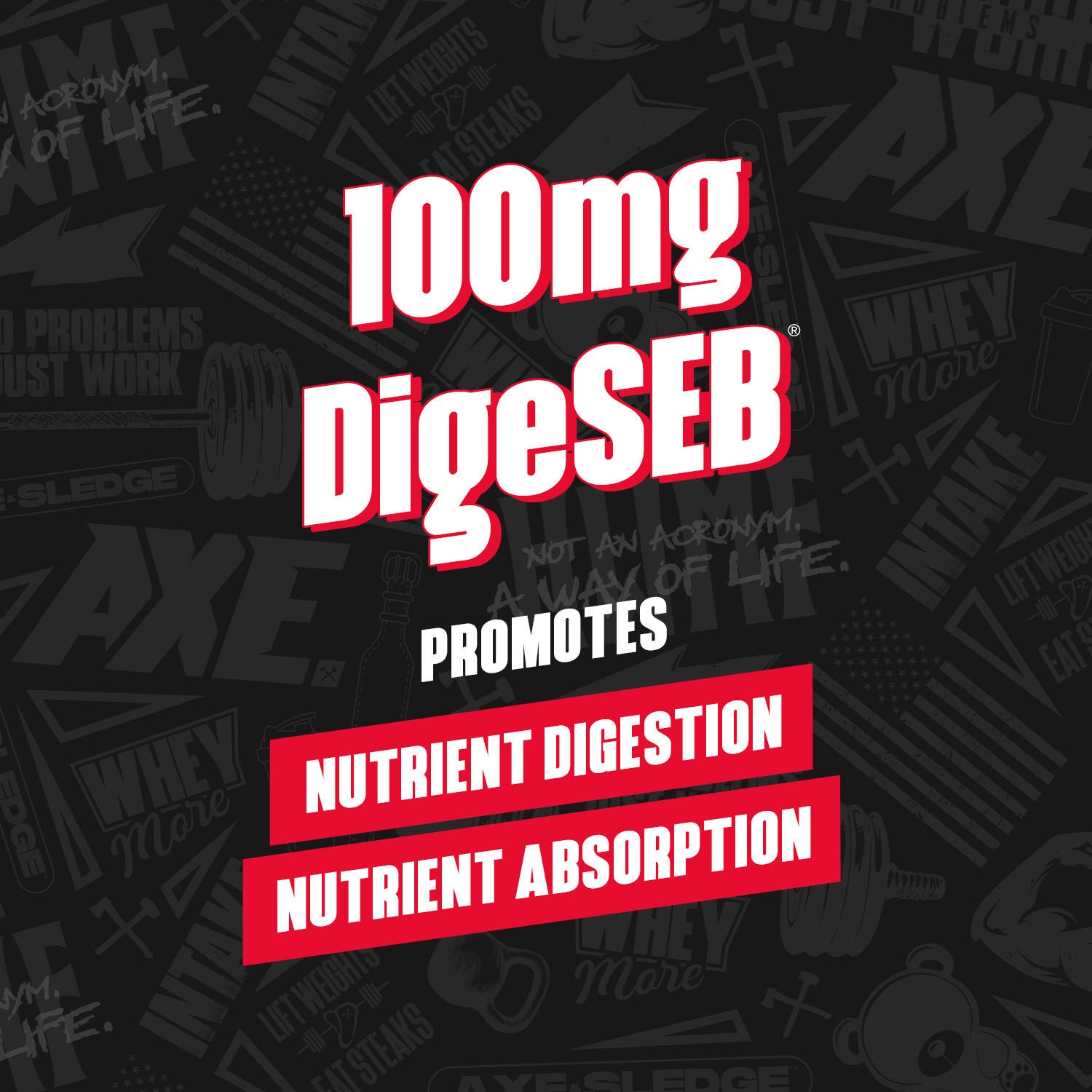 Whey More - Grizzly Honey Graham (30 Servings)