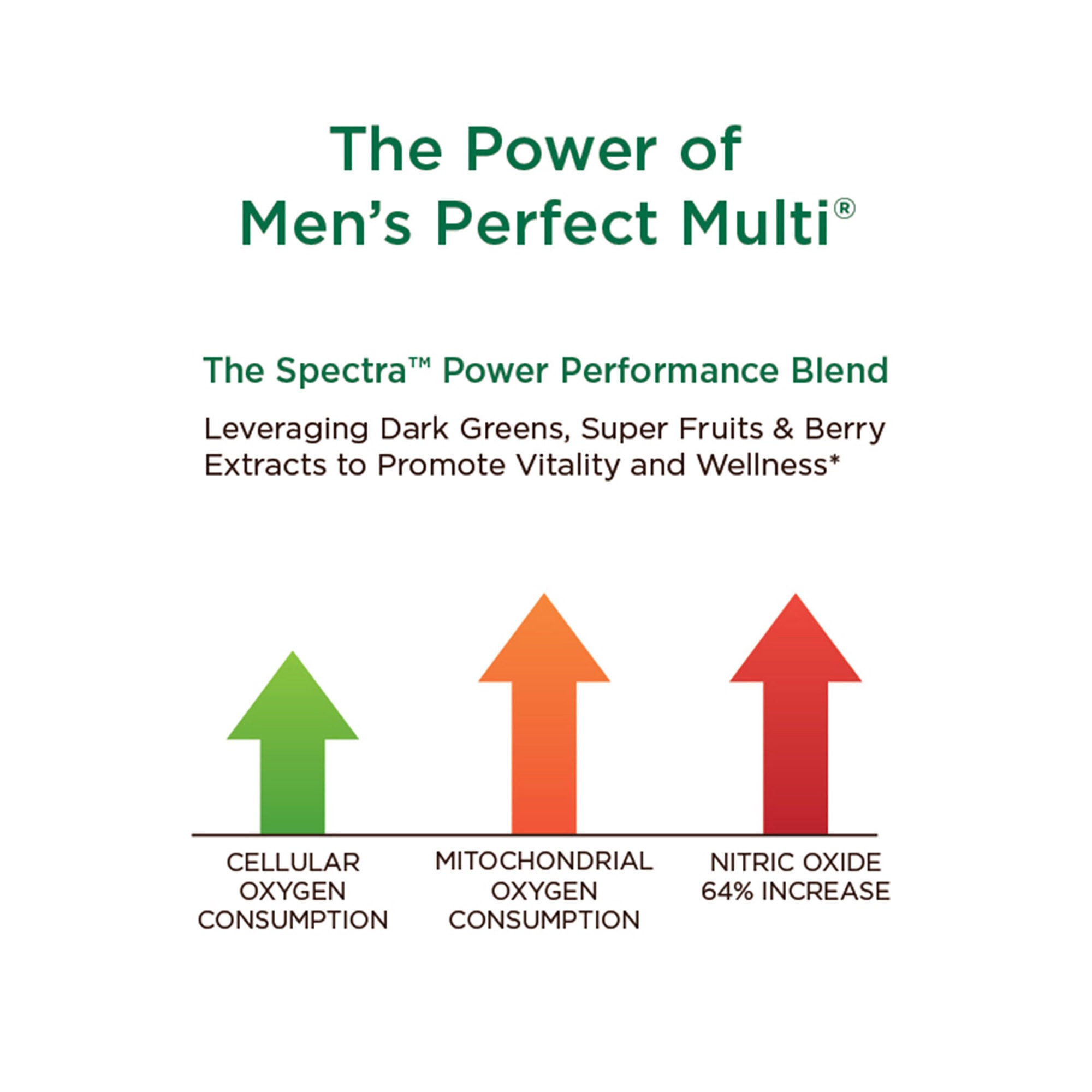 Men's Perfect Multi&reg; - 90 Tablets (30 Servings)  | GNC