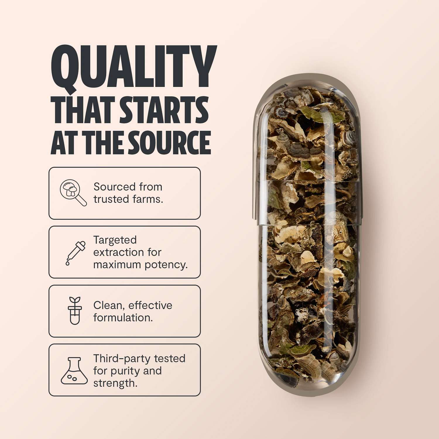 Turkey Tail - 60 Capsules (30 Servings)