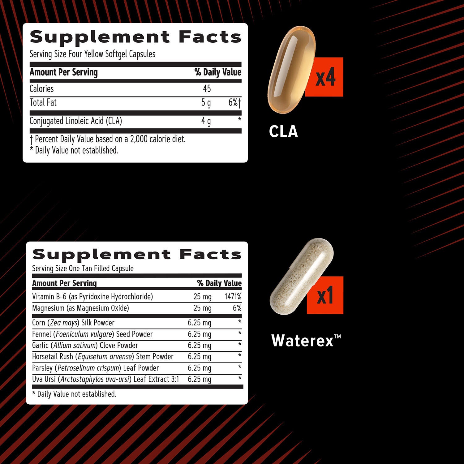 Ripped Vitapak&reg; Program (1 Monthly Supply)  | GNC