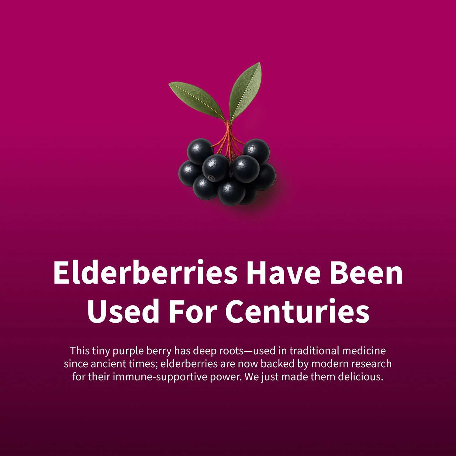 Immune Booster Elderberry Extract - 60 Gummies (30 Servings)  | GNC