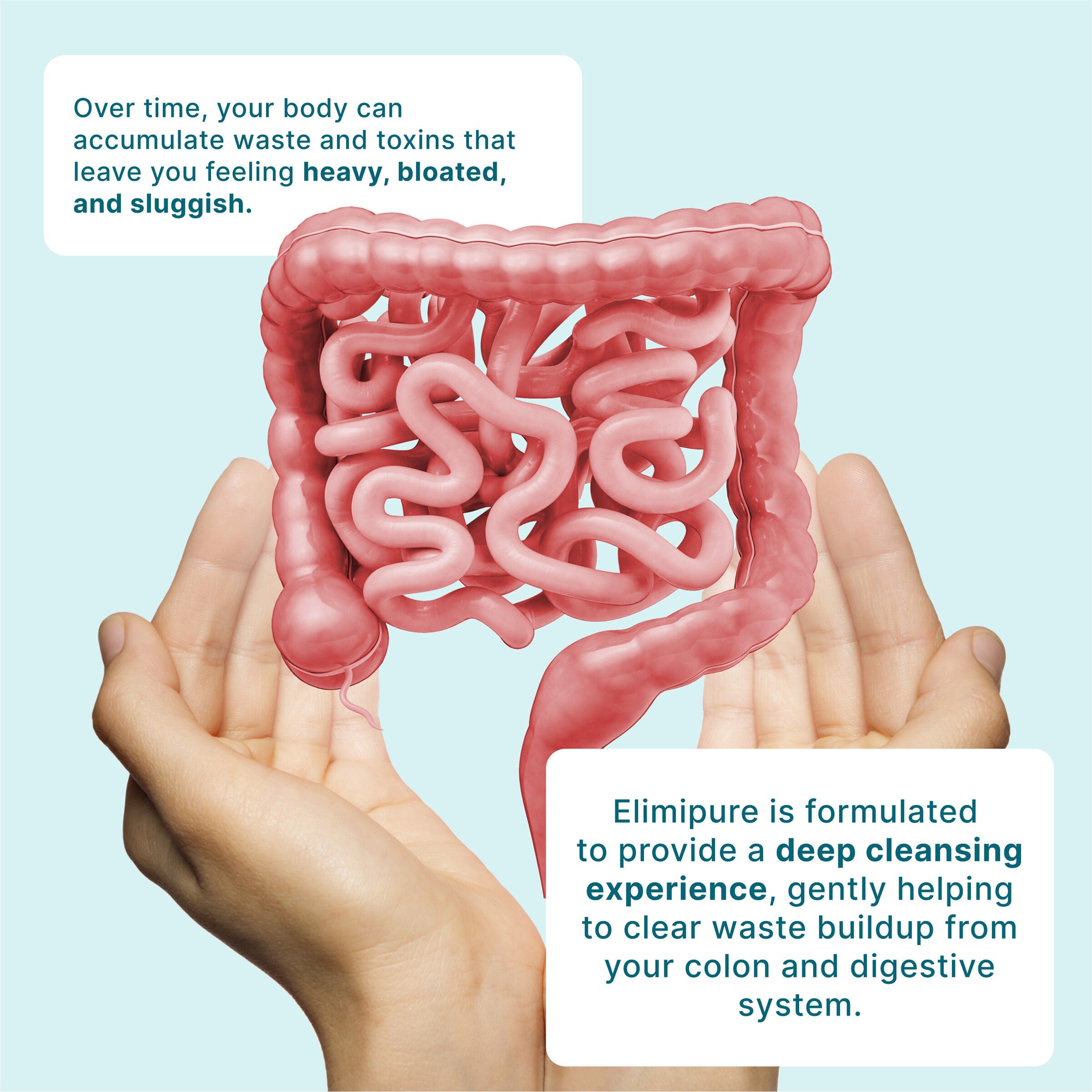 Elimipure - 90 Capsules (30 Servings)  | GNC