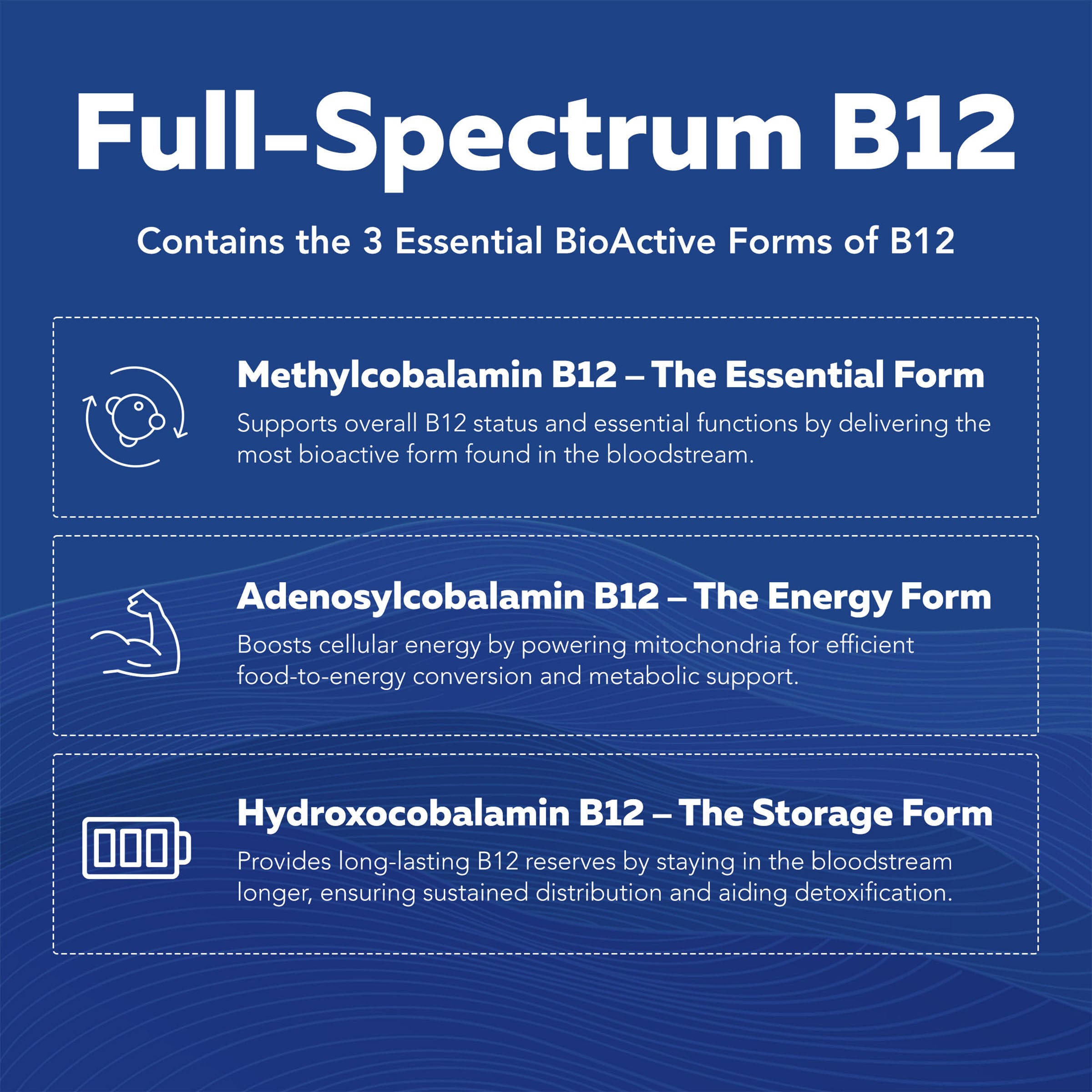 BioActive B-Complex Max Strength - 60 Capsules (60 Servings)  | GNC