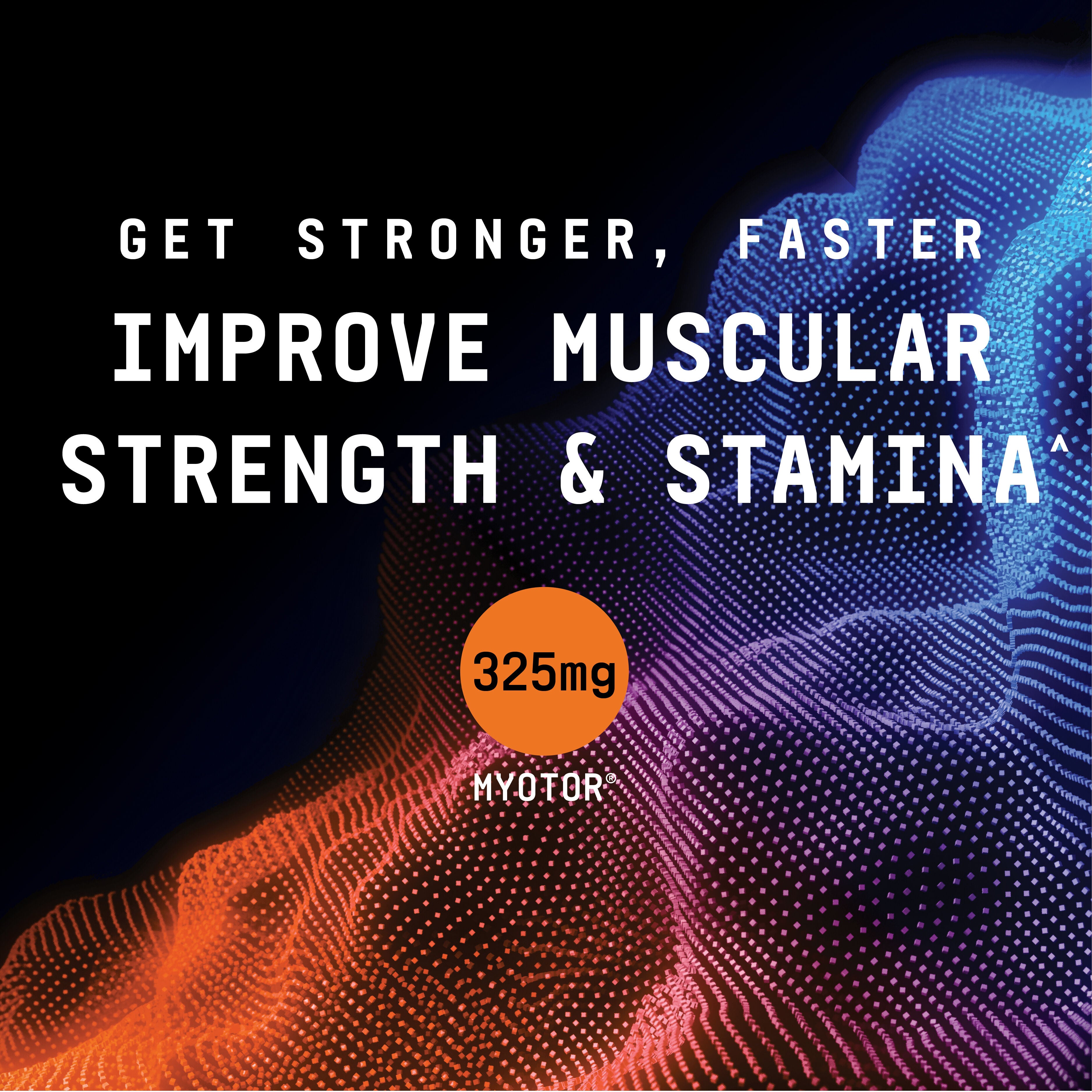 DTF Dynamic Testosterone Formula - 90 Tablets (30 Servings)  | GNC