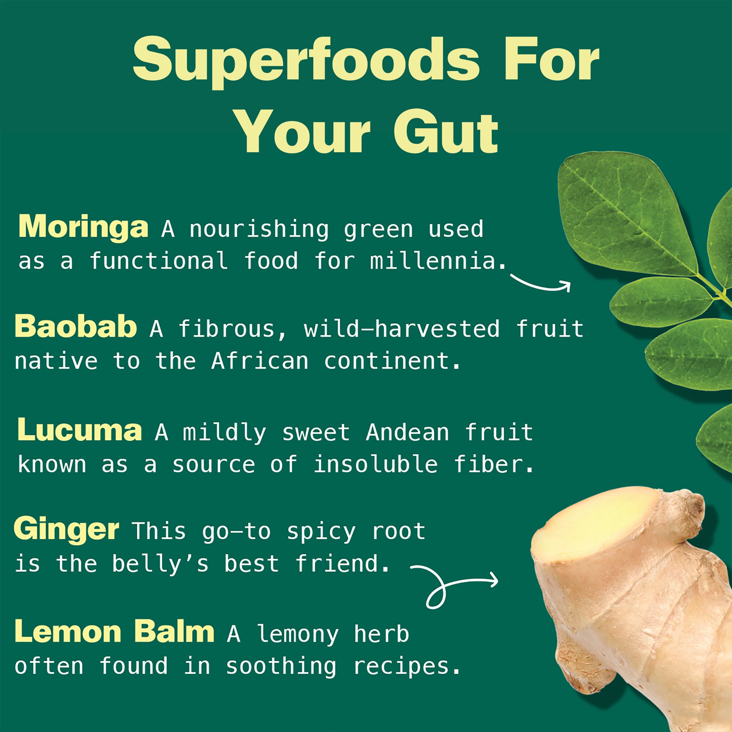 Gut Bliss Superfood Blend - 6 oz. (28 Servings)  | GNC