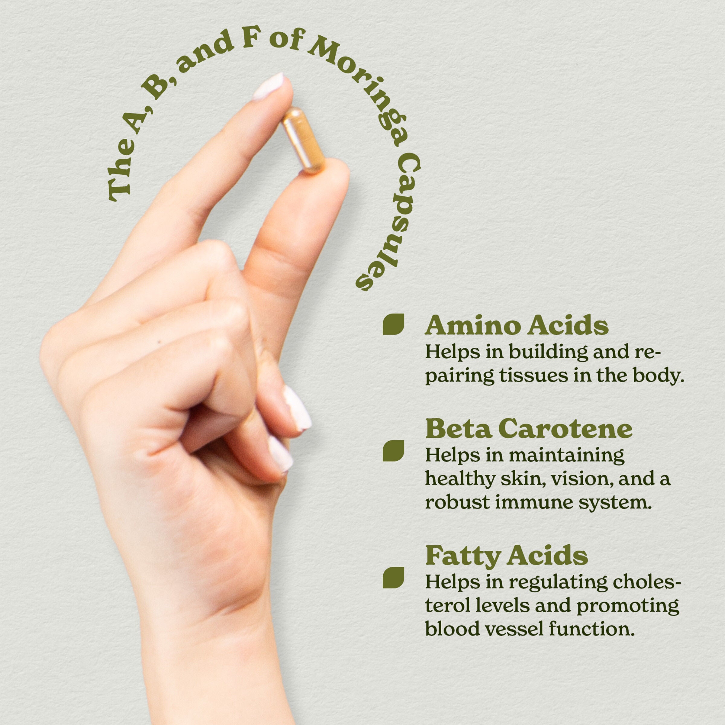 Nourish Moringa 18000mg - 120 Capsules (60 Servings)  | GNC