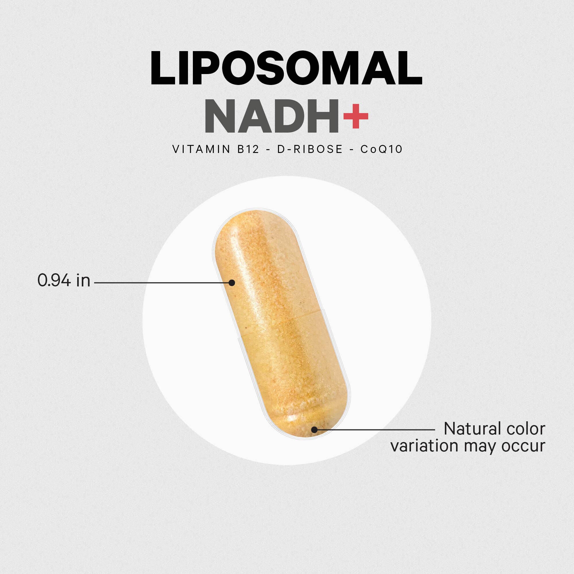 Liposomal NADH+ - 60 Capsules (60 Servings)  | GNC