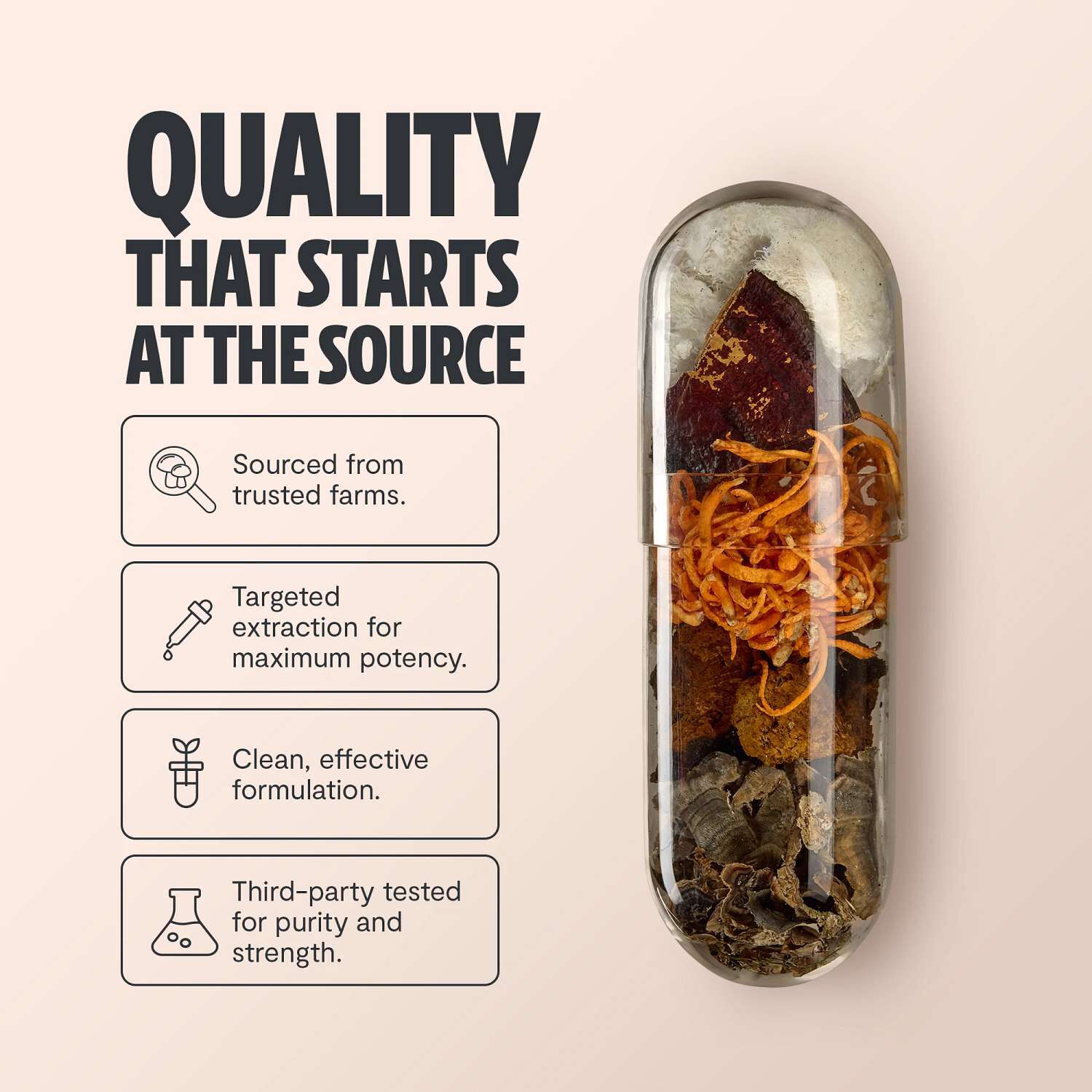 Ultimate Mushroom Complex - 60 Capsules (30 Servings)