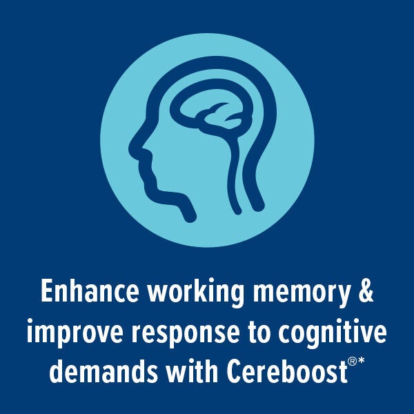 Focus and Memory - 60 Capsules (30 Servings)  | GNC