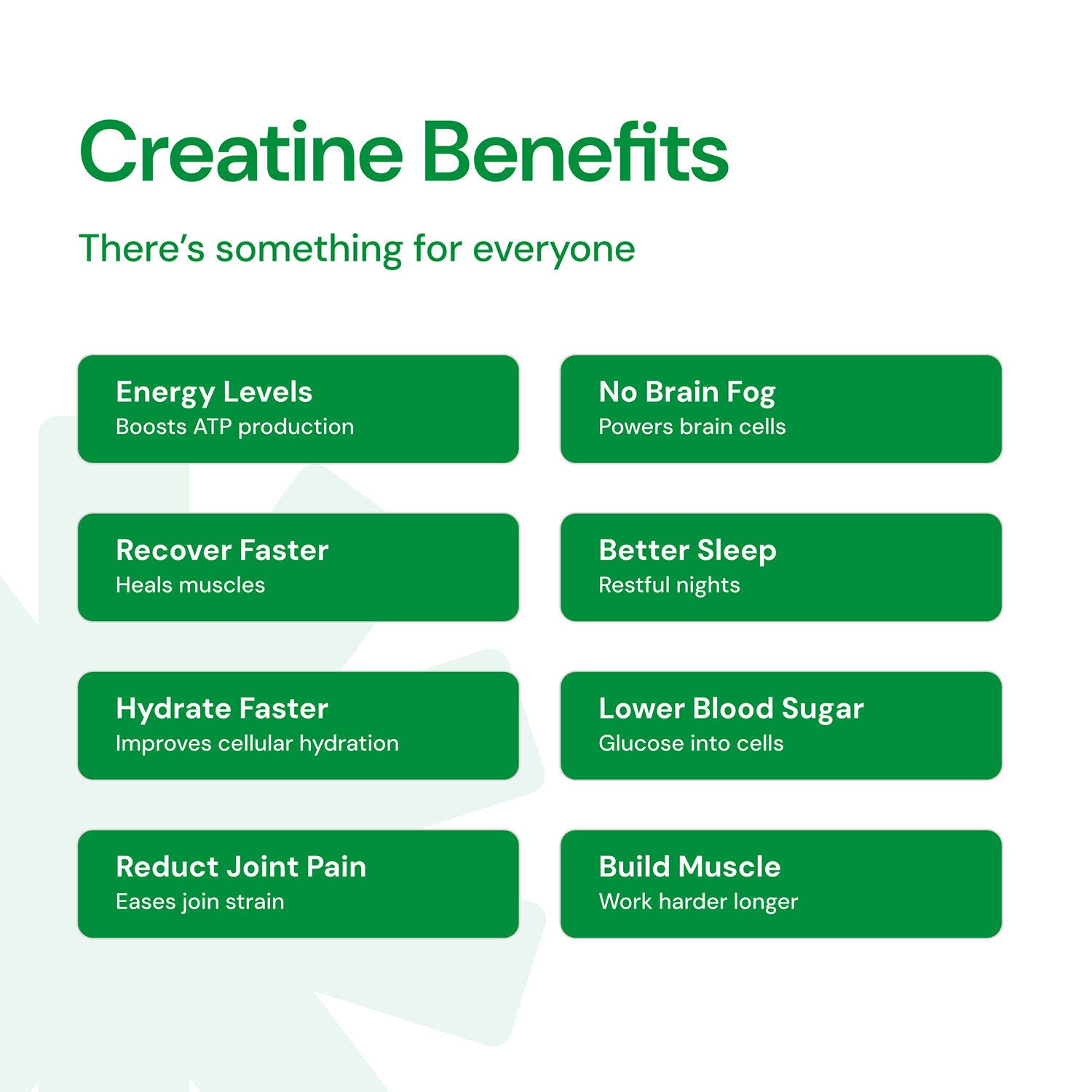 Creatine Monohydrate Gummies - Sour Green Apple - 45 Gummies (15 Servings)