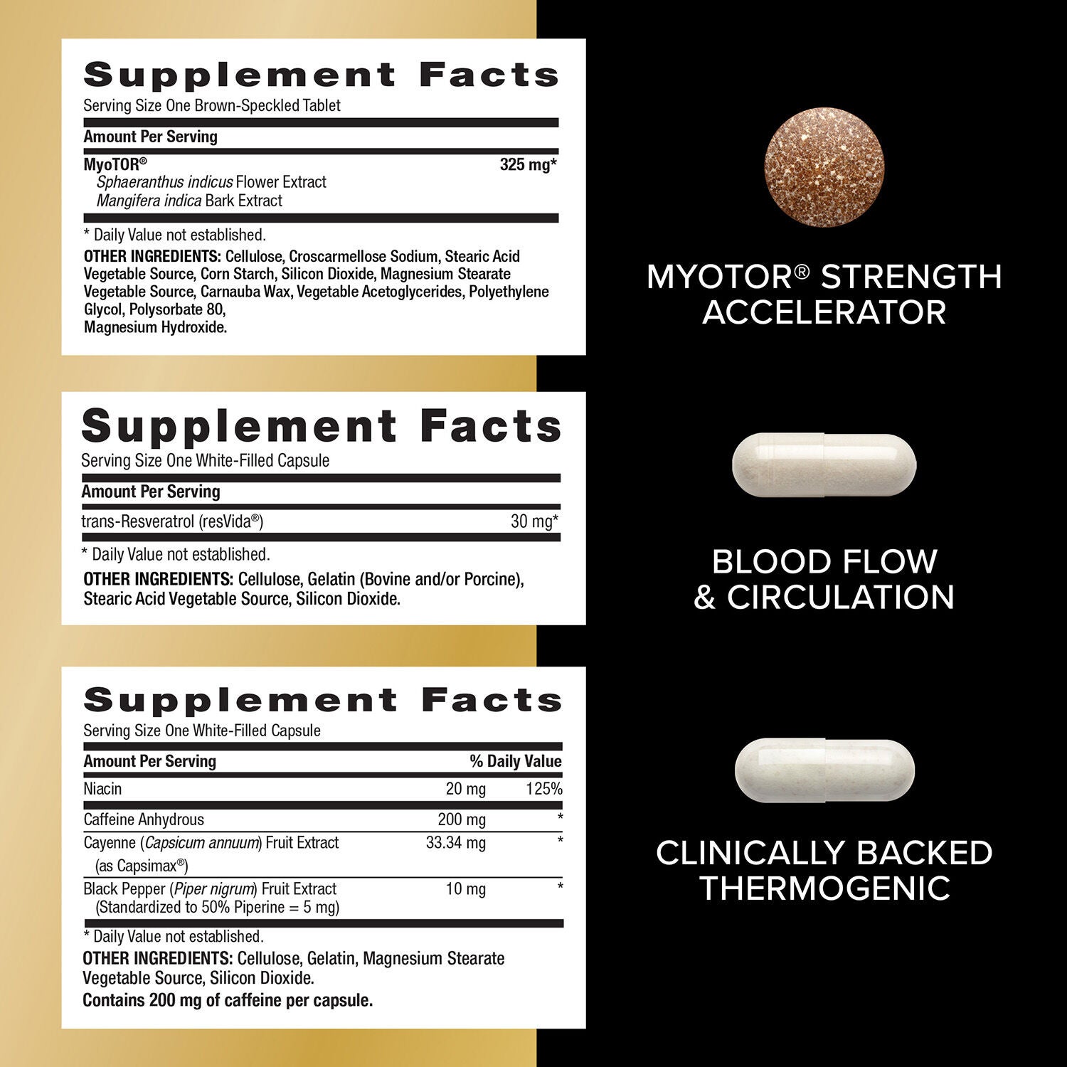 Sport Vitapak® Program V2 (1 Month Supply)